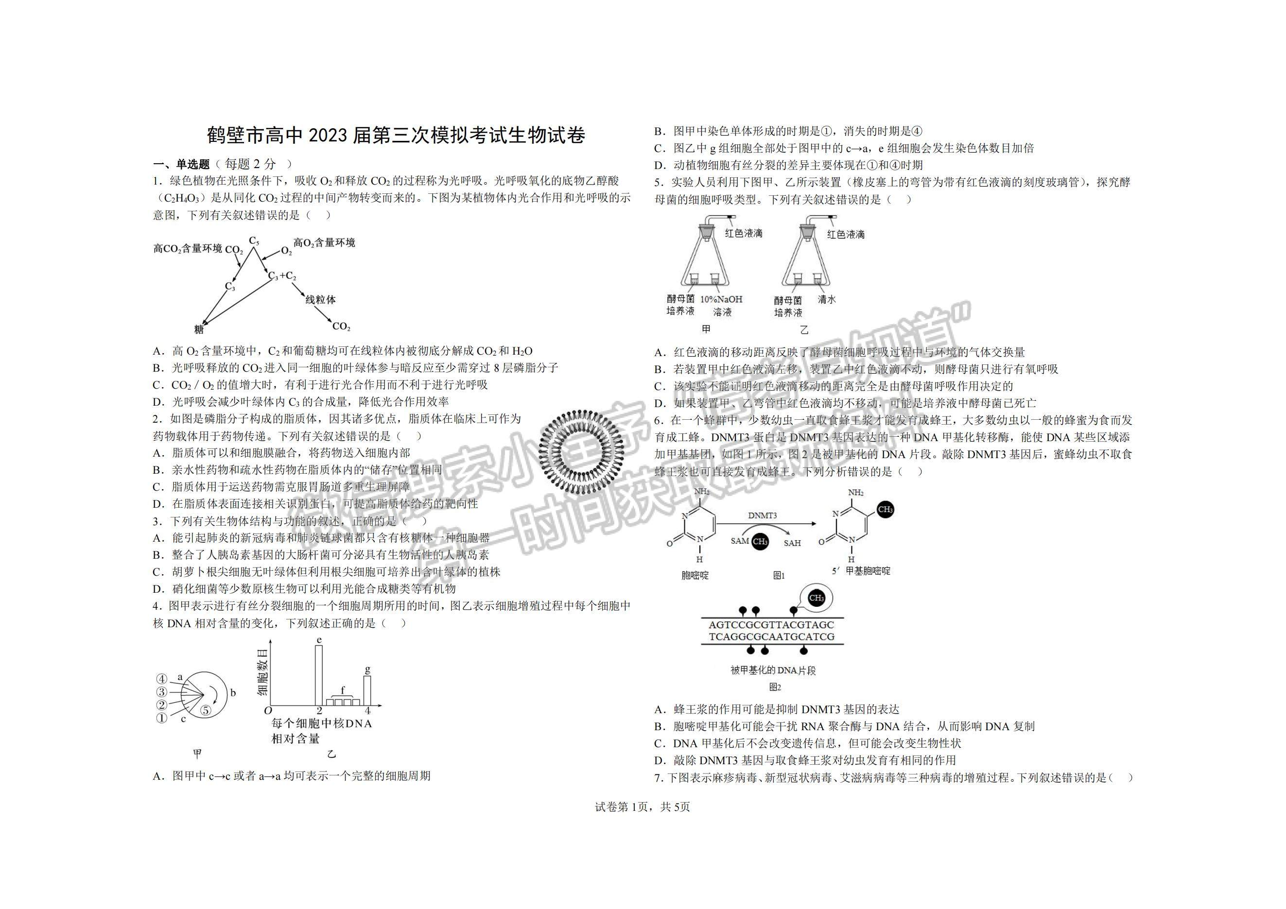 2023河南省鶴壁市高中高三上學期第三次模擬考試生物試題及參考答案