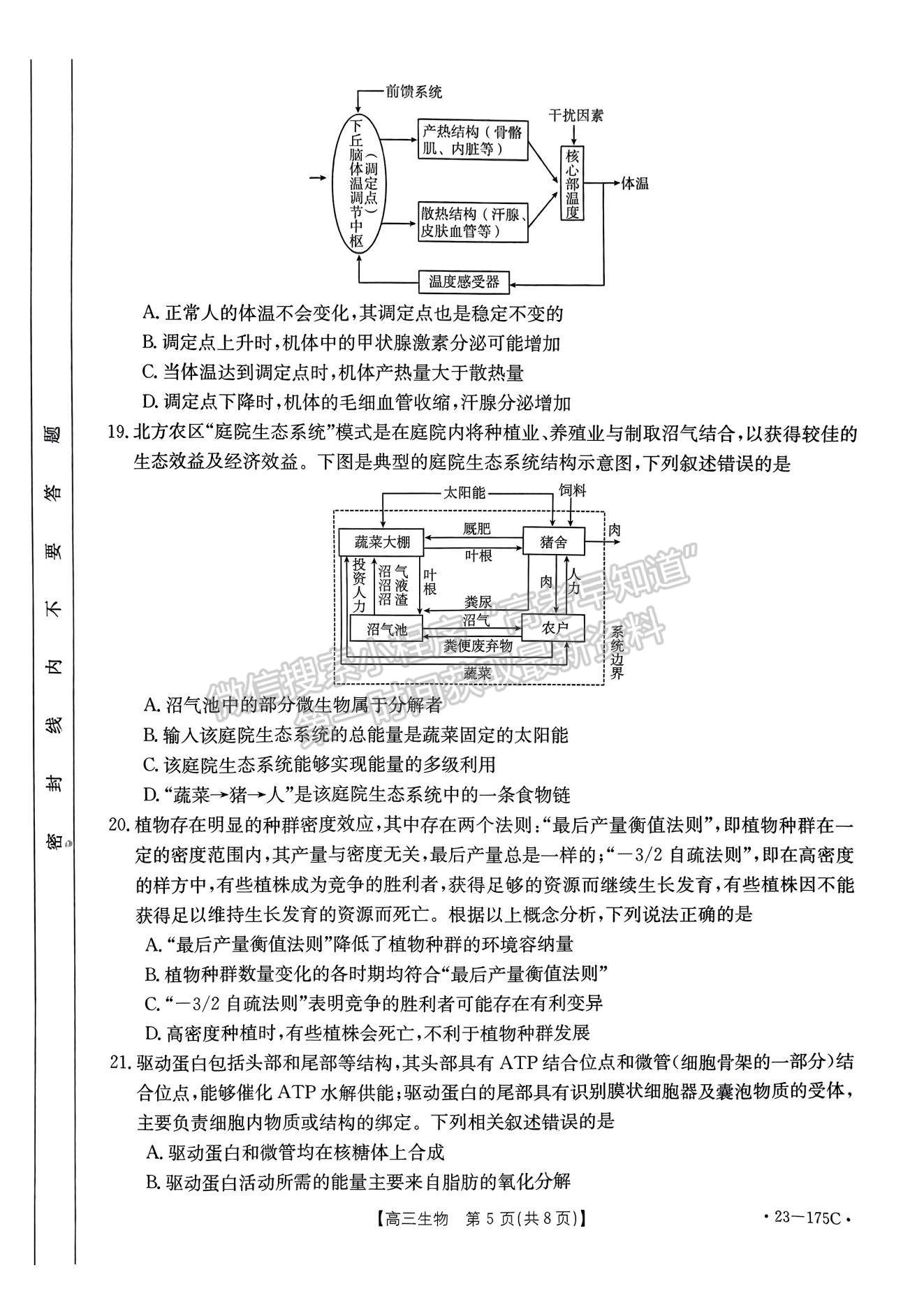 2023河南省創(chuàng)新發(fā)展聯(lián)盟高三上學(xué)期11月階段檢測(cè)生物試題及參考答案