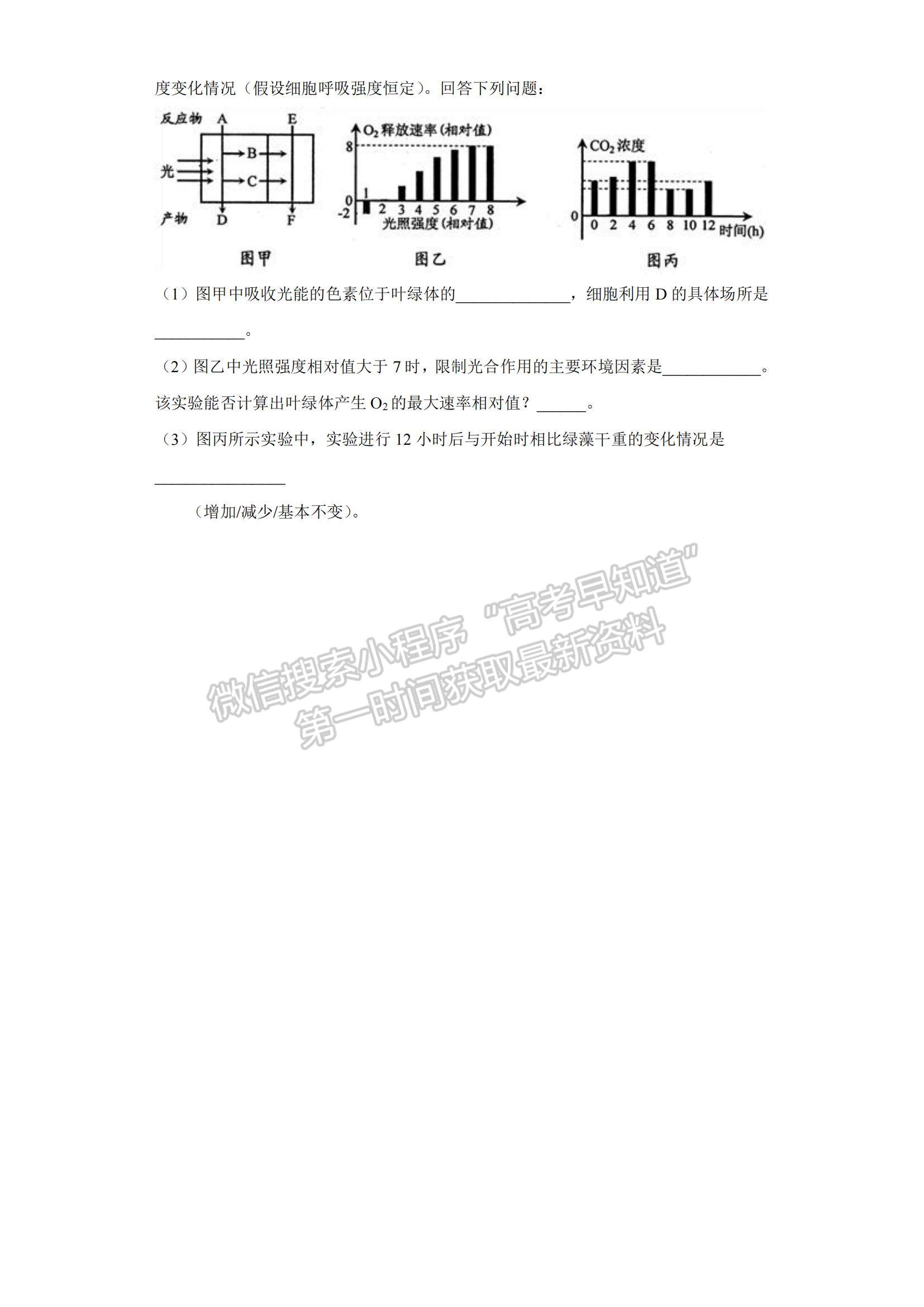 2023山東省東營市勝利一中高三上學(xué)期期末模擬測試（A卷）-生物試卷及答案