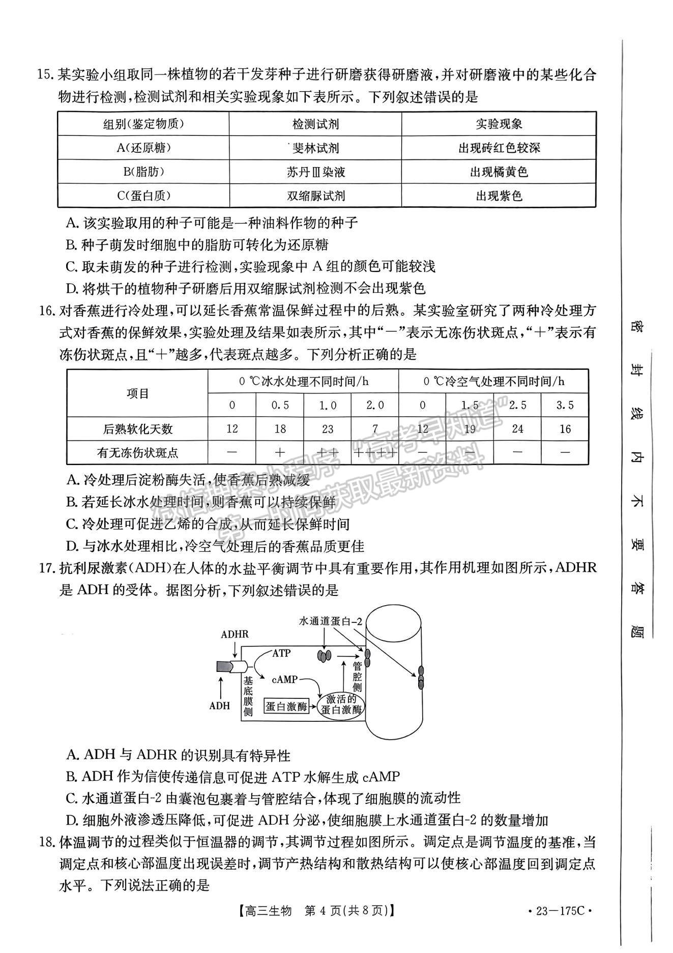 2023河南省創(chuàng)新發(fā)展聯(lián)盟高三上學(xué)期11月階段檢測(cè)生物試題及參考答案