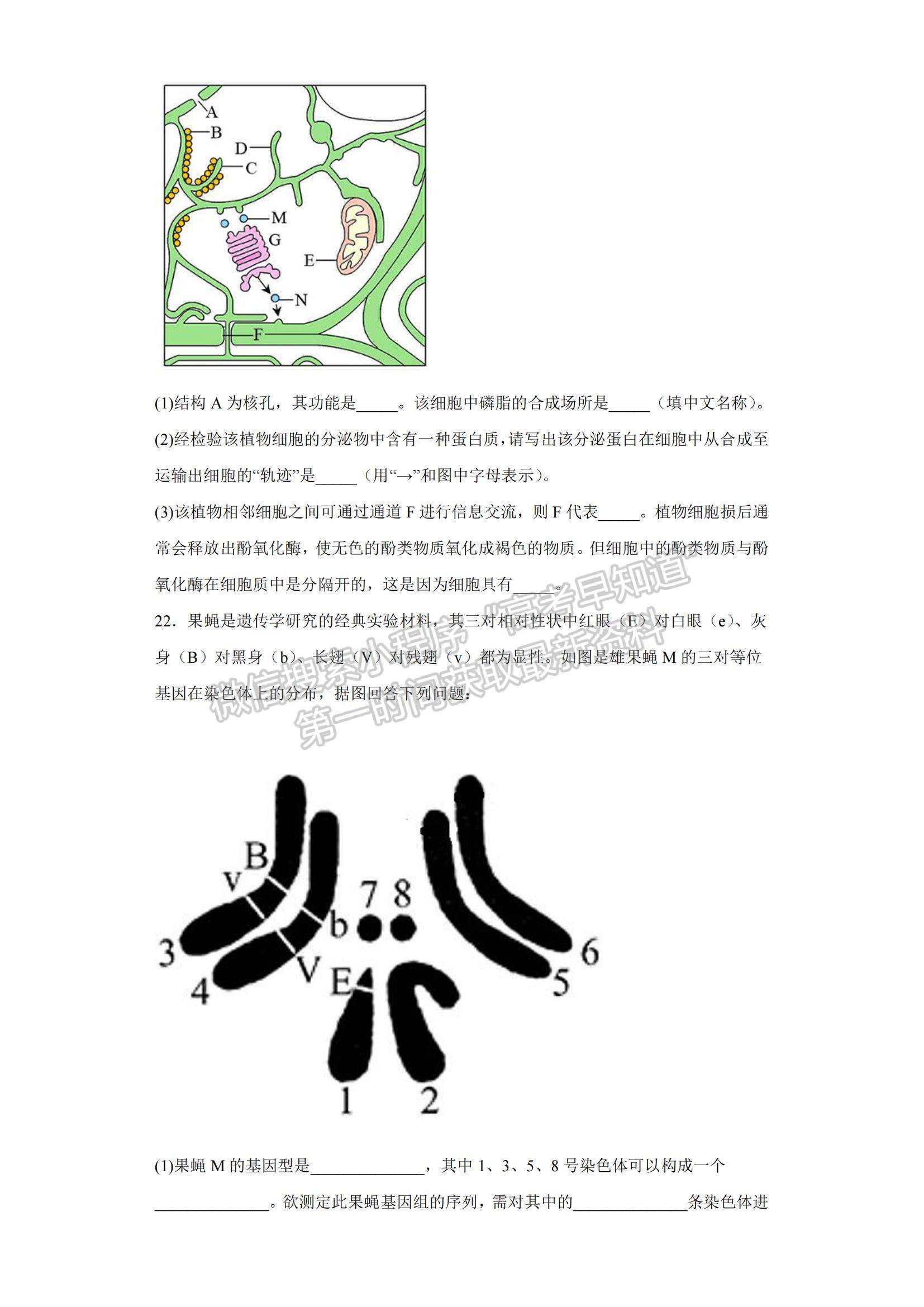 2023山東省東營市勝利一中高三上學(xué)期期末模擬測試（A卷）-生物試卷及答案