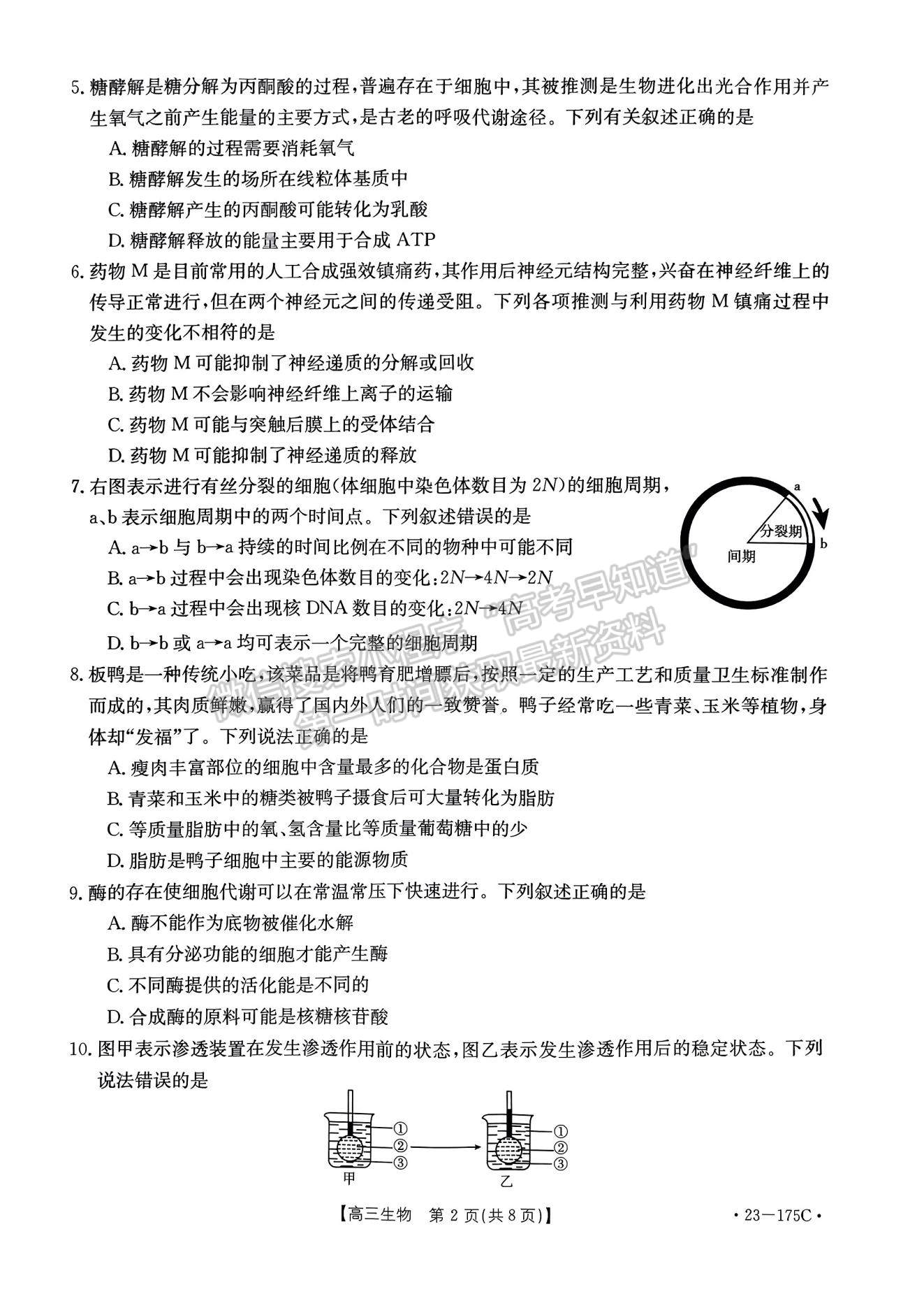 2023河南省創(chuàng)新發(fā)展聯(lián)盟高三上學(xué)期11月階段檢測(cè)生物試題及參考答案