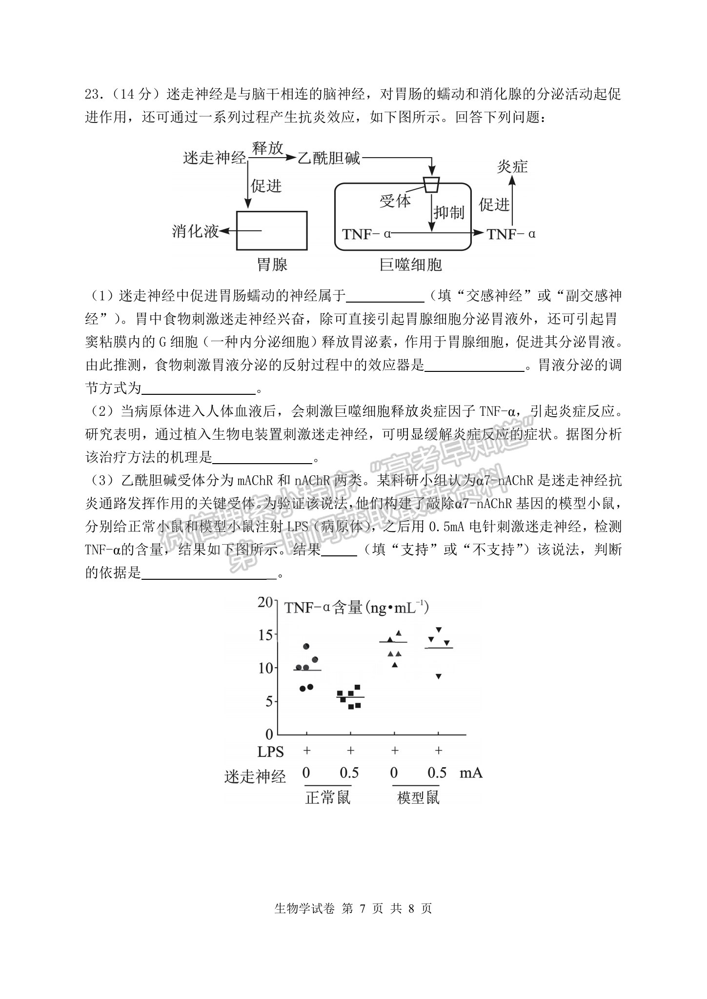 2023湖北騰云聯(lián)盟高三12月聯(lián)考生物試卷及參考答案