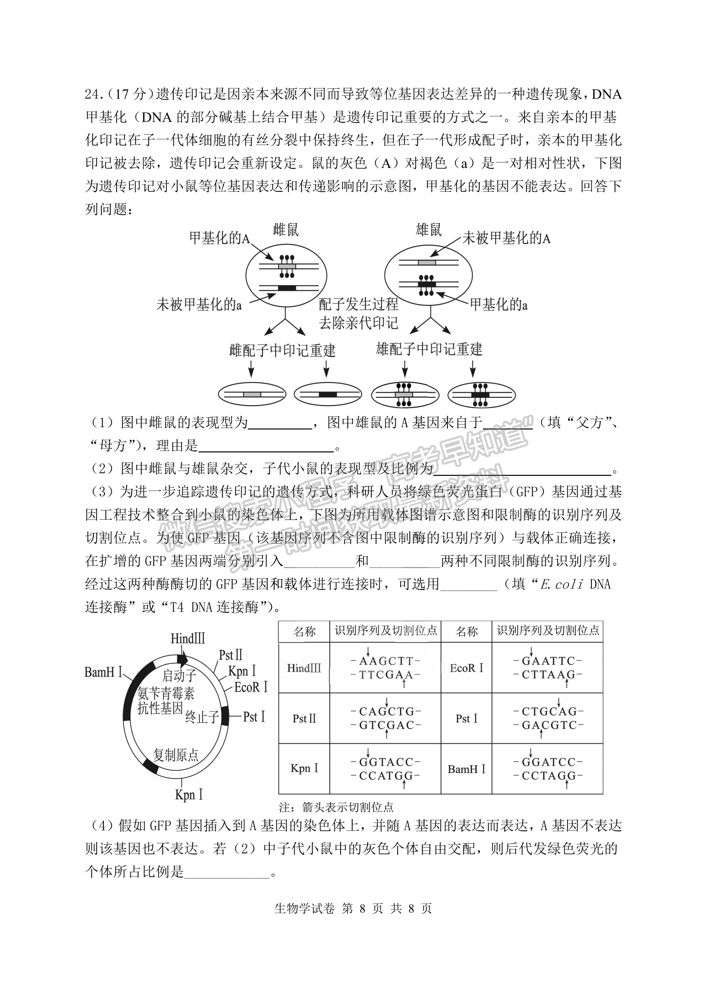 2023湖北騰云聯(lián)盟高三12月聯(lián)考生物試卷及參考答案