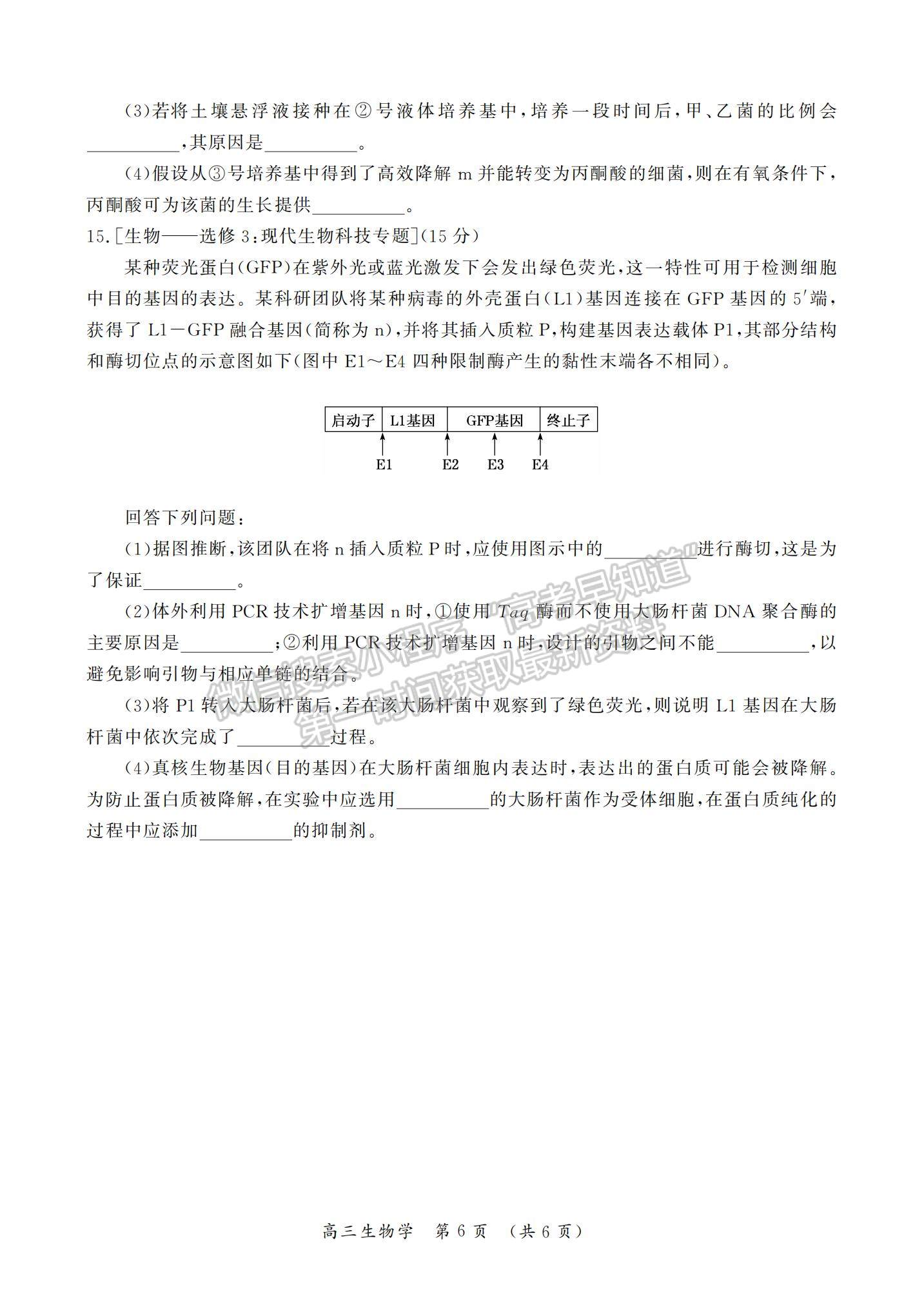 2023河南省開封市高三上學(xué)期一模考試生物試題及參考答案