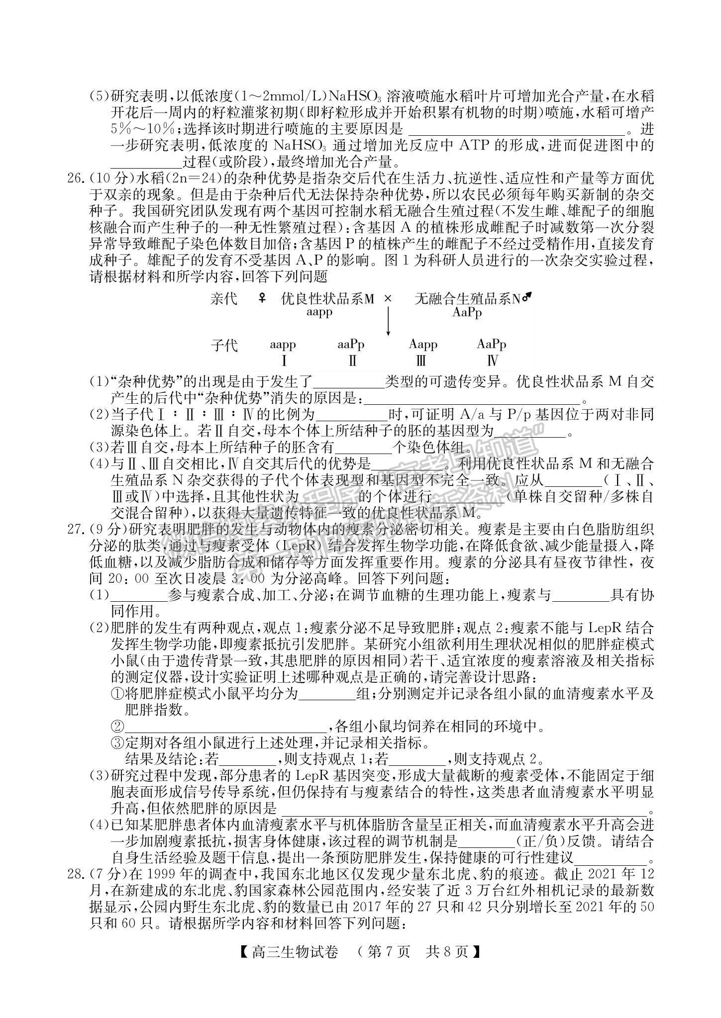 2023河南省非凡吉創(chuàng)TOP二十名校高三上學(xué)期12月調(diào)研考試生物試題及參考答案