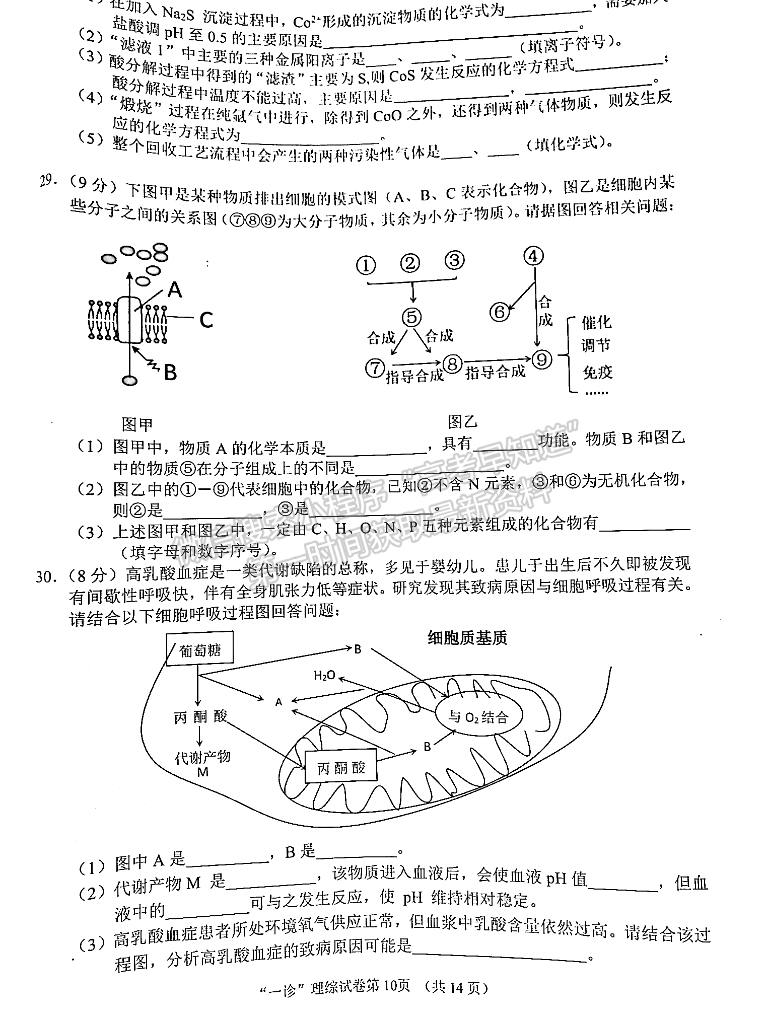 2023四川省南充市高2023屆高考適應性考試（一診）理科綜合試題及答案