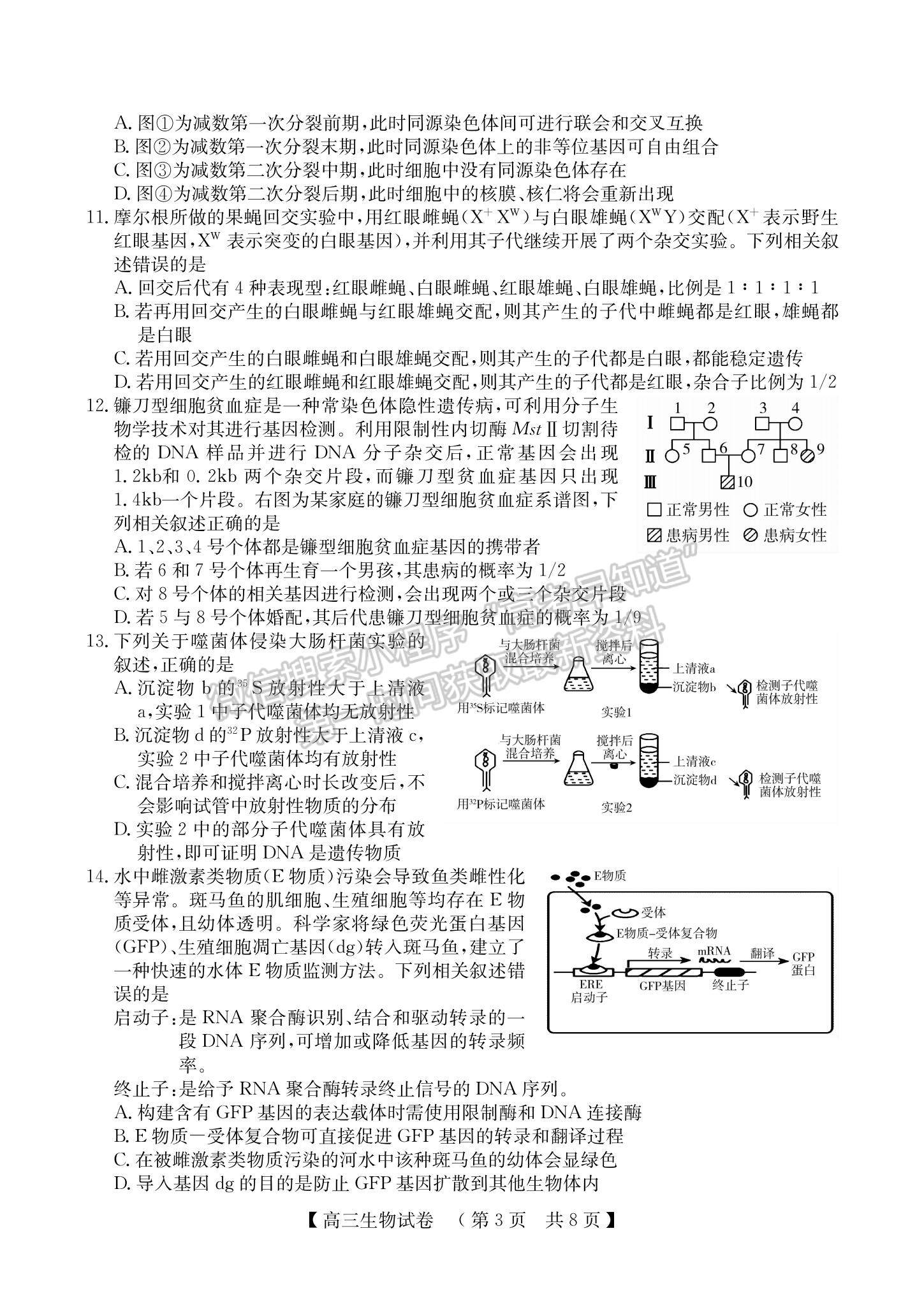 2023河南省非凡吉創(chuàng)TOP二十名校高三上學(xué)期12月調(diào)研考試生物試題及參考答案