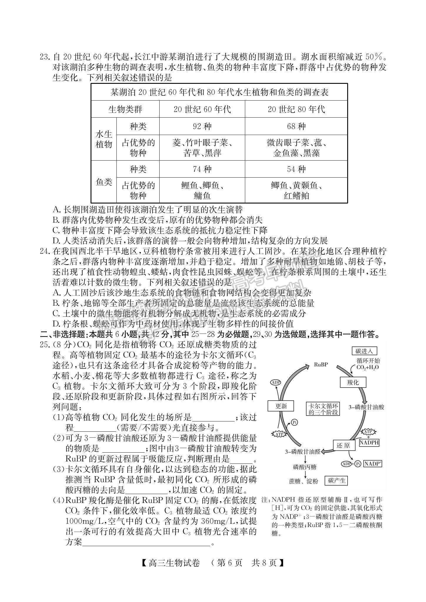 2023河南省非凡吉?jiǎng)?chuàng)TOP二十名校高三上學(xué)期12月調(diào)研考試生物試題及參考答案