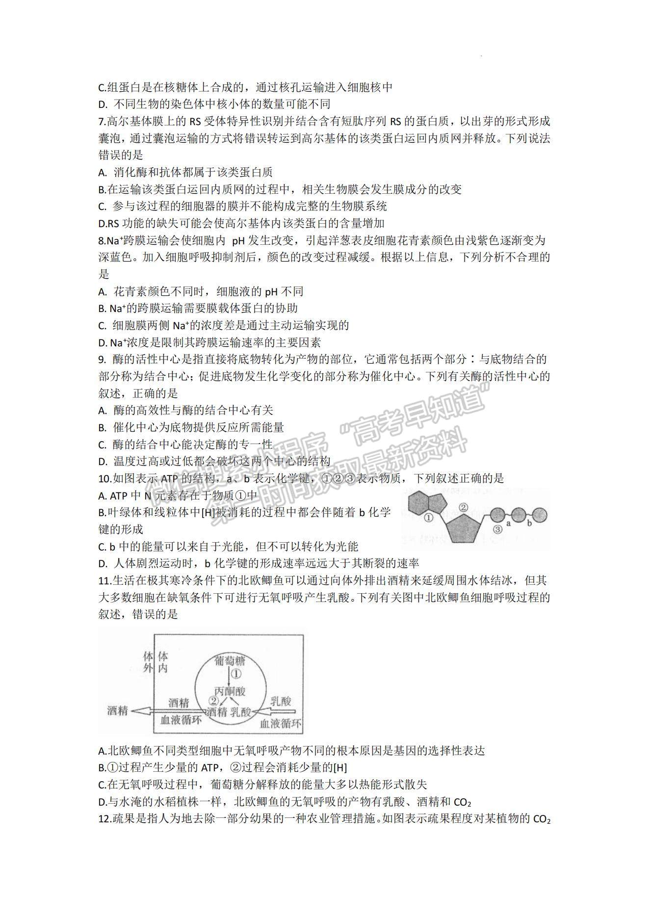 2023河南省南陽市高三上學期11月期中考試生物試題及參考答案