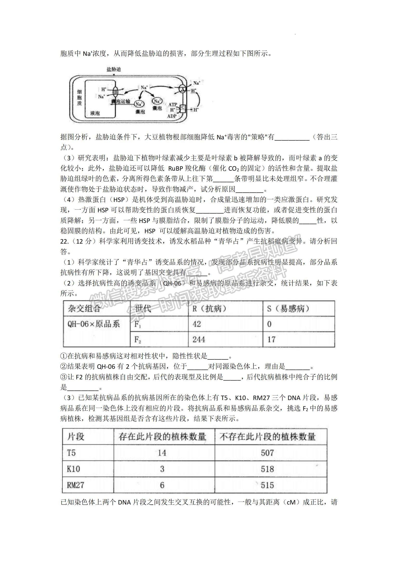 2023年山東中學(xué)聯(lián)盟高三12月百校聯(lián)考-生物試卷及答案