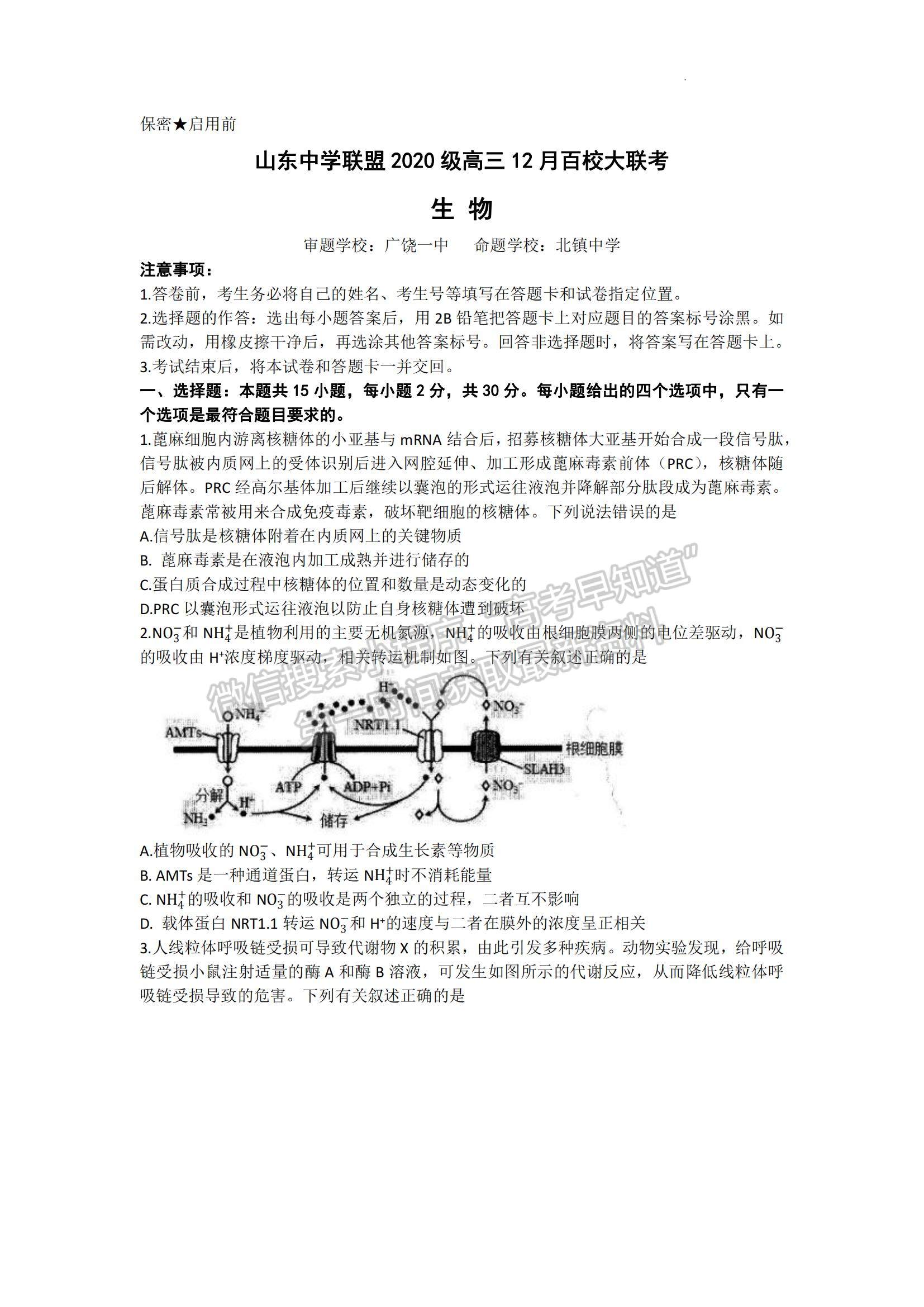 2023年山東中學聯盟高三12月百校聯考-生物試卷及答案