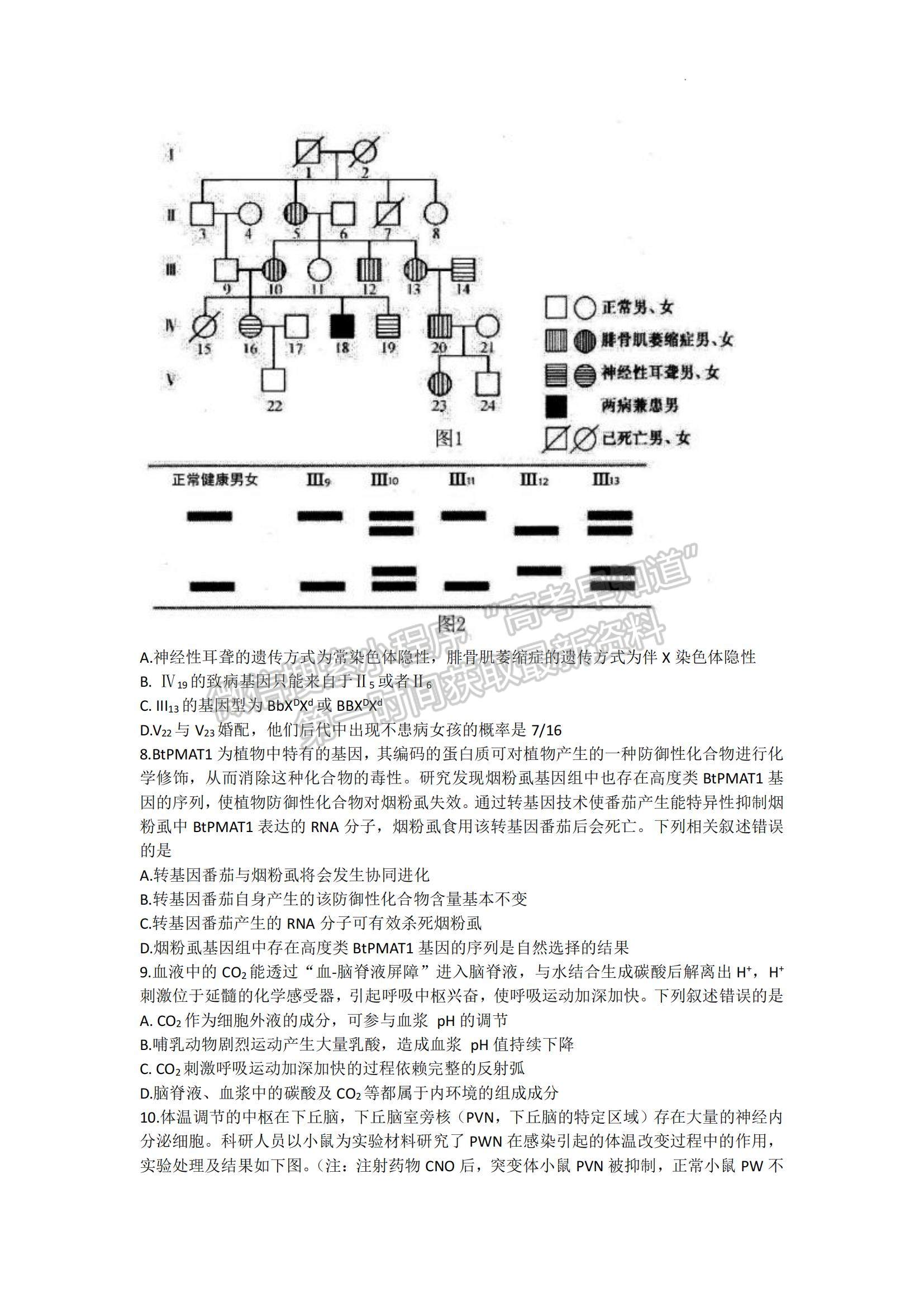 2023年山東中學聯盟高三12月百校聯考-生物試卷及答案