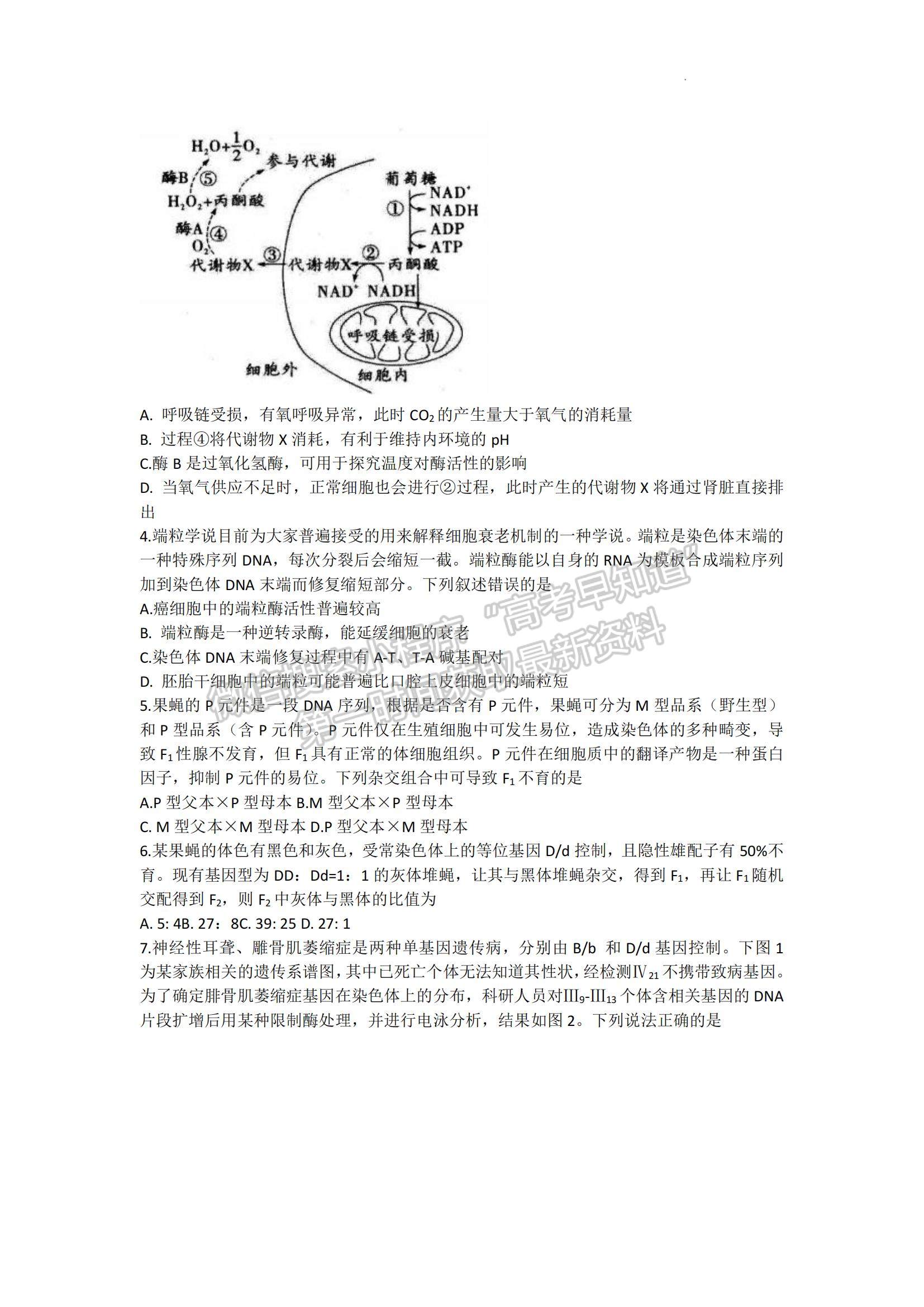 2023年山东中学联盟高三12月百校联考-生物试卷及答案