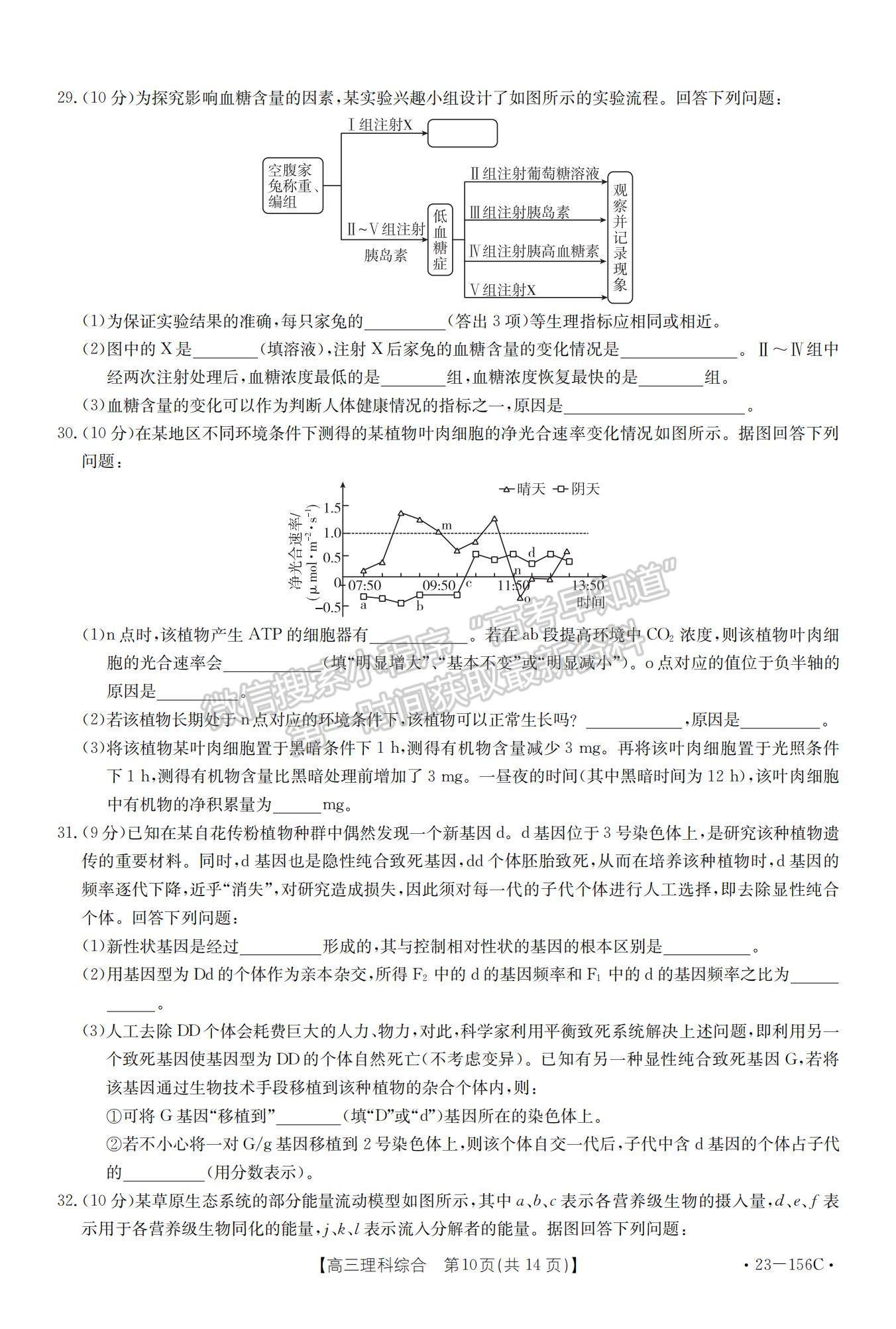 2023河南省新鄉(xiāng)市高三上學(xué)期第一次模擬考試?yán)砭C試題及參考答案