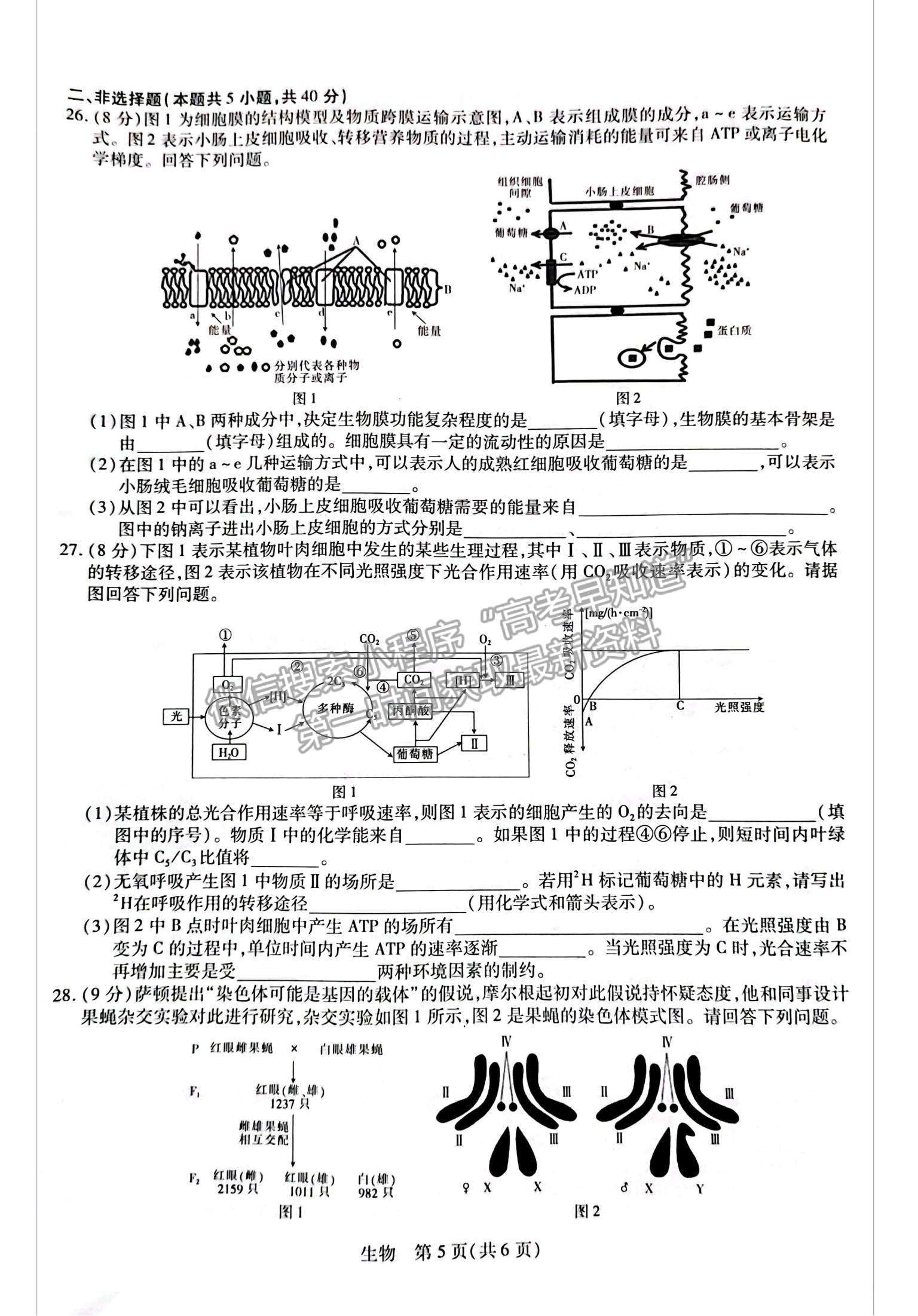 2023江西省贛州市教育發(fā)展聯(lián)盟高三上學期第9次聯(lián)考（12月）（生物）