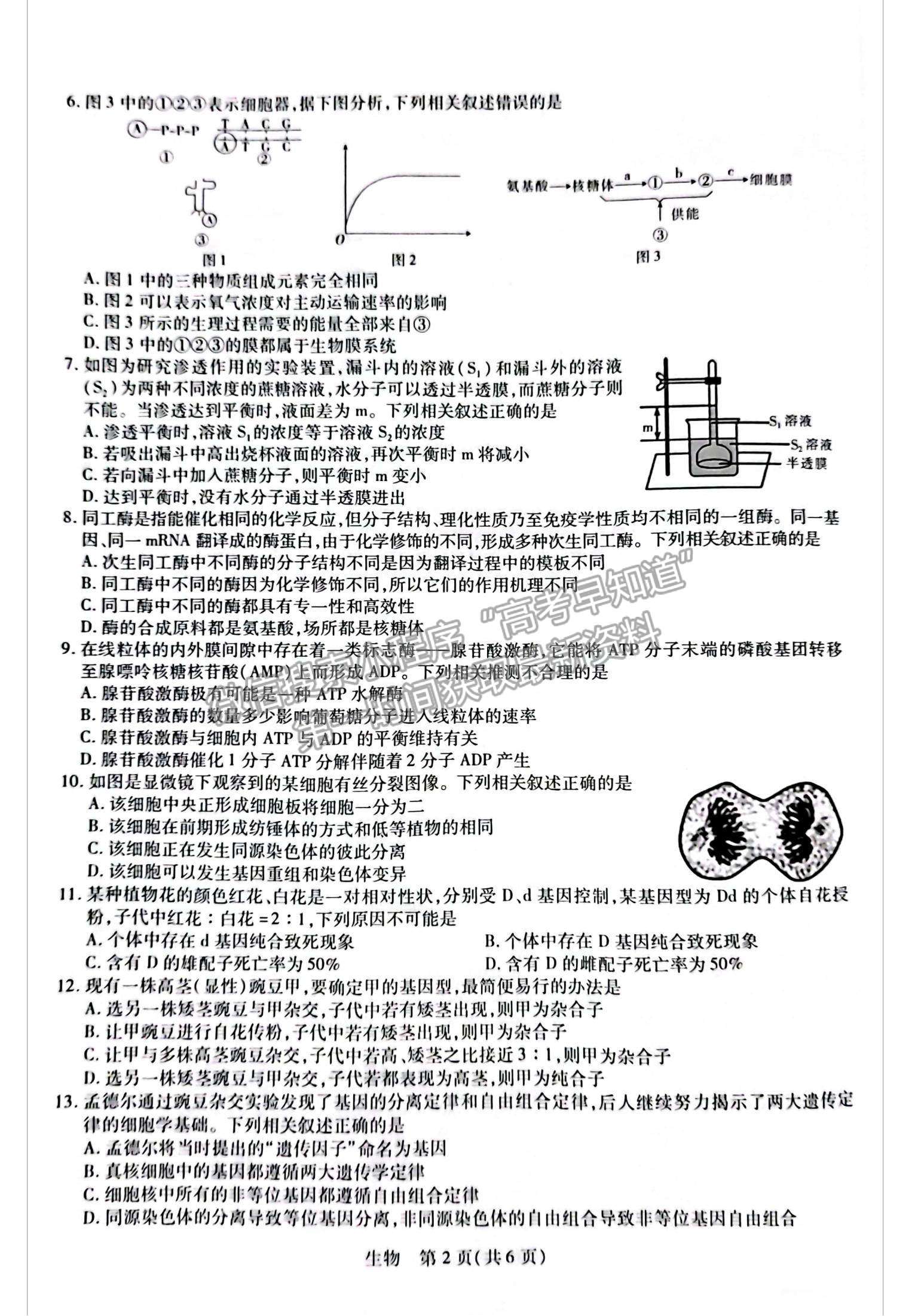 2023江西省贛州市教育發(fā)展聯(lián)盟高三上學期第9次聯(lián)考（12月）（生物）