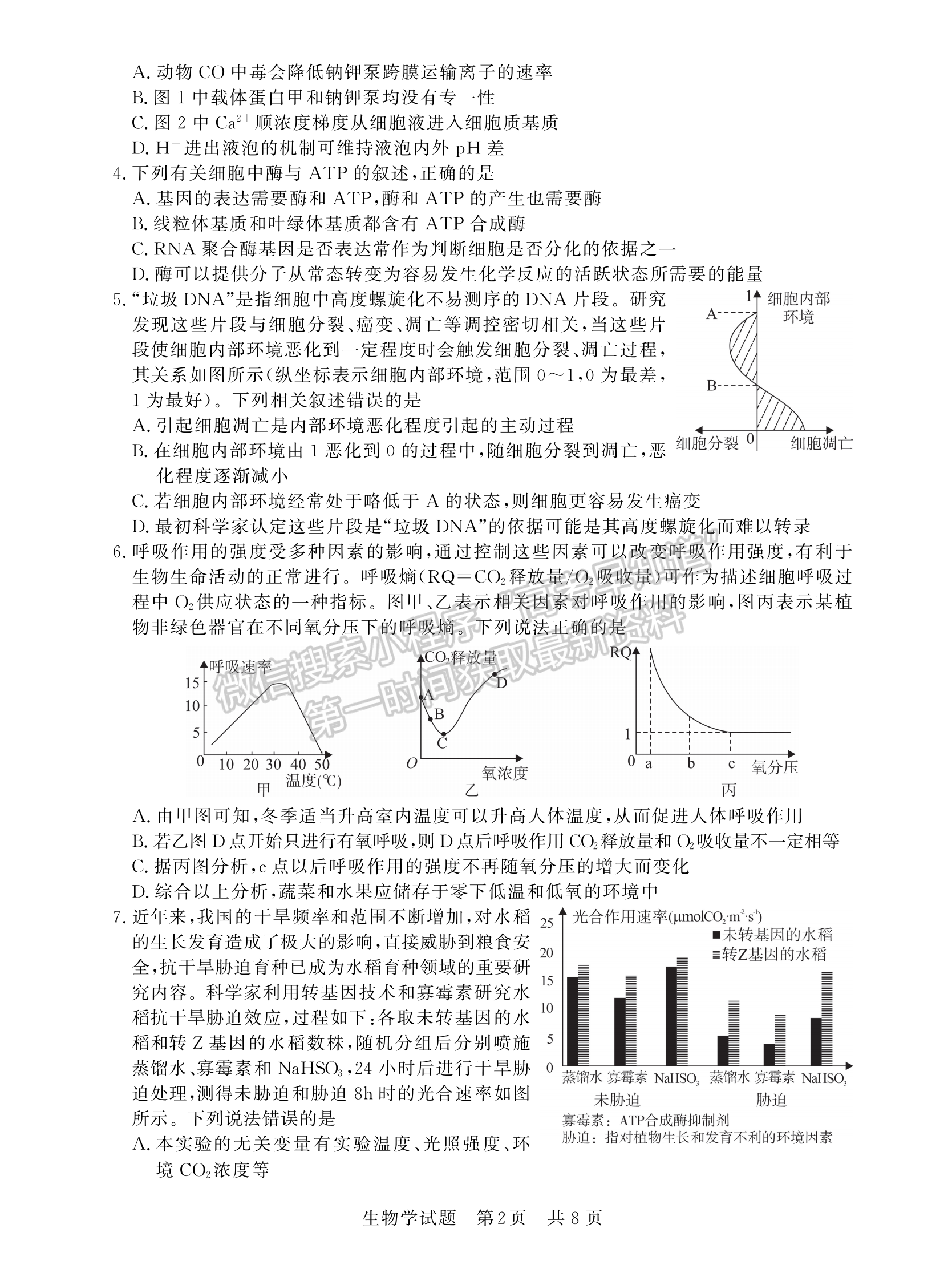 2023屆湖北高三第一次學(xué)業(yè)質(zhì)量評(píng)價(jià)（T8聯(lián)考）生物試卷及參考答案