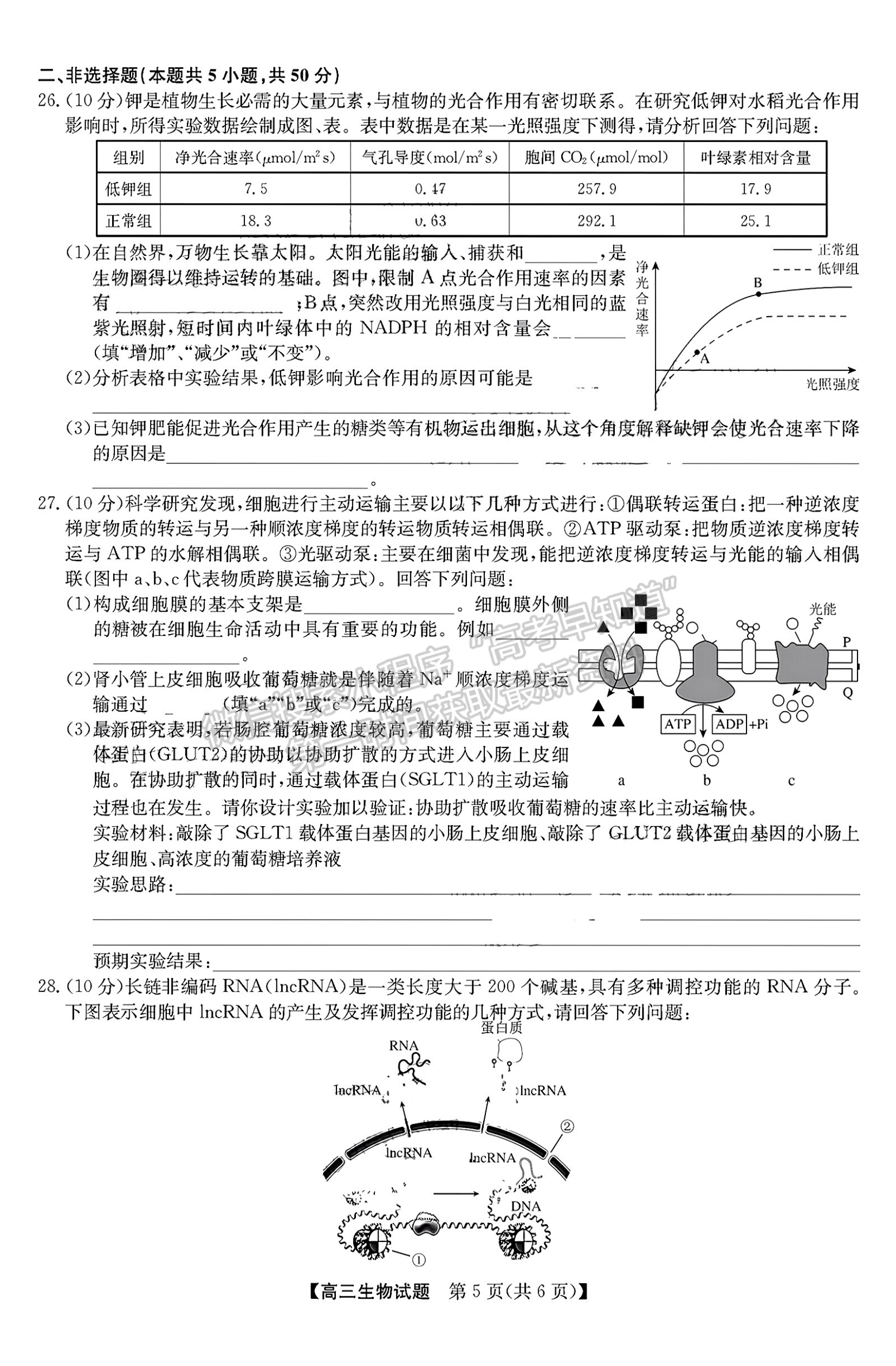 2023安徽皖北五校高三12月聯(lián)考生物試卷及答案