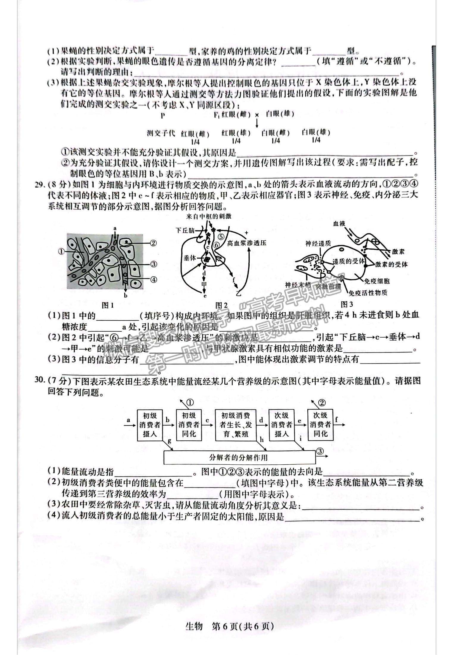 2023江西省贛州市教育發(fā)展聯(lián)盟高三上學期第9次聯(lián)考（12月）（生物）