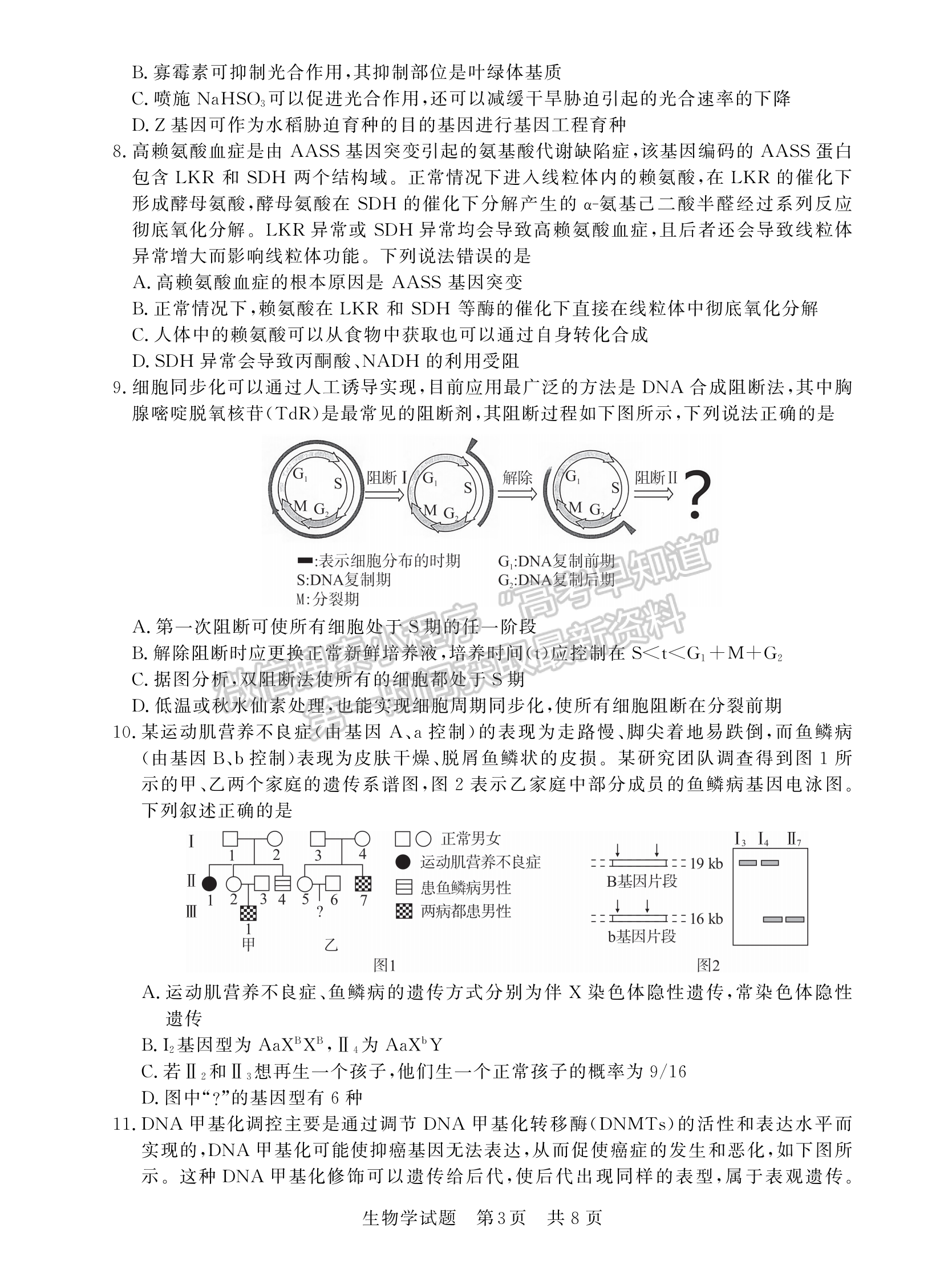 2023屆廣東高三第一次學(xué)業(yè)質(zhì)量評價(jià)（T8聯(lián)考）生物試題及答案