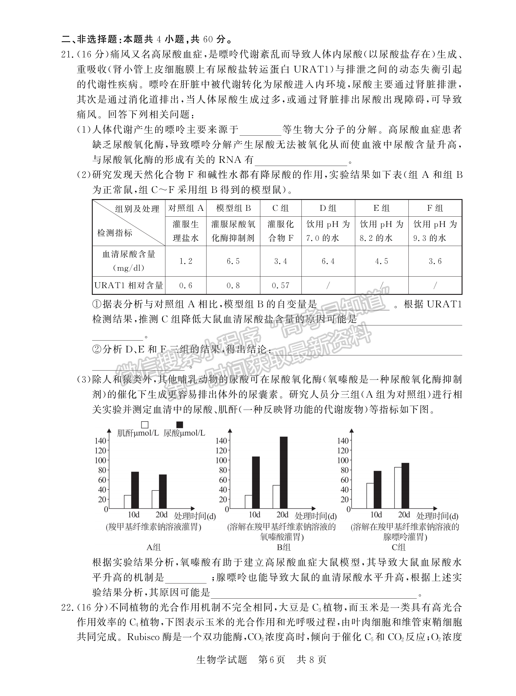 2023屆廣東高三第一次學(xué)業(yè)質(zhì)量評(píng)價(jià)（T8聯(lián)考）生物試題及答案