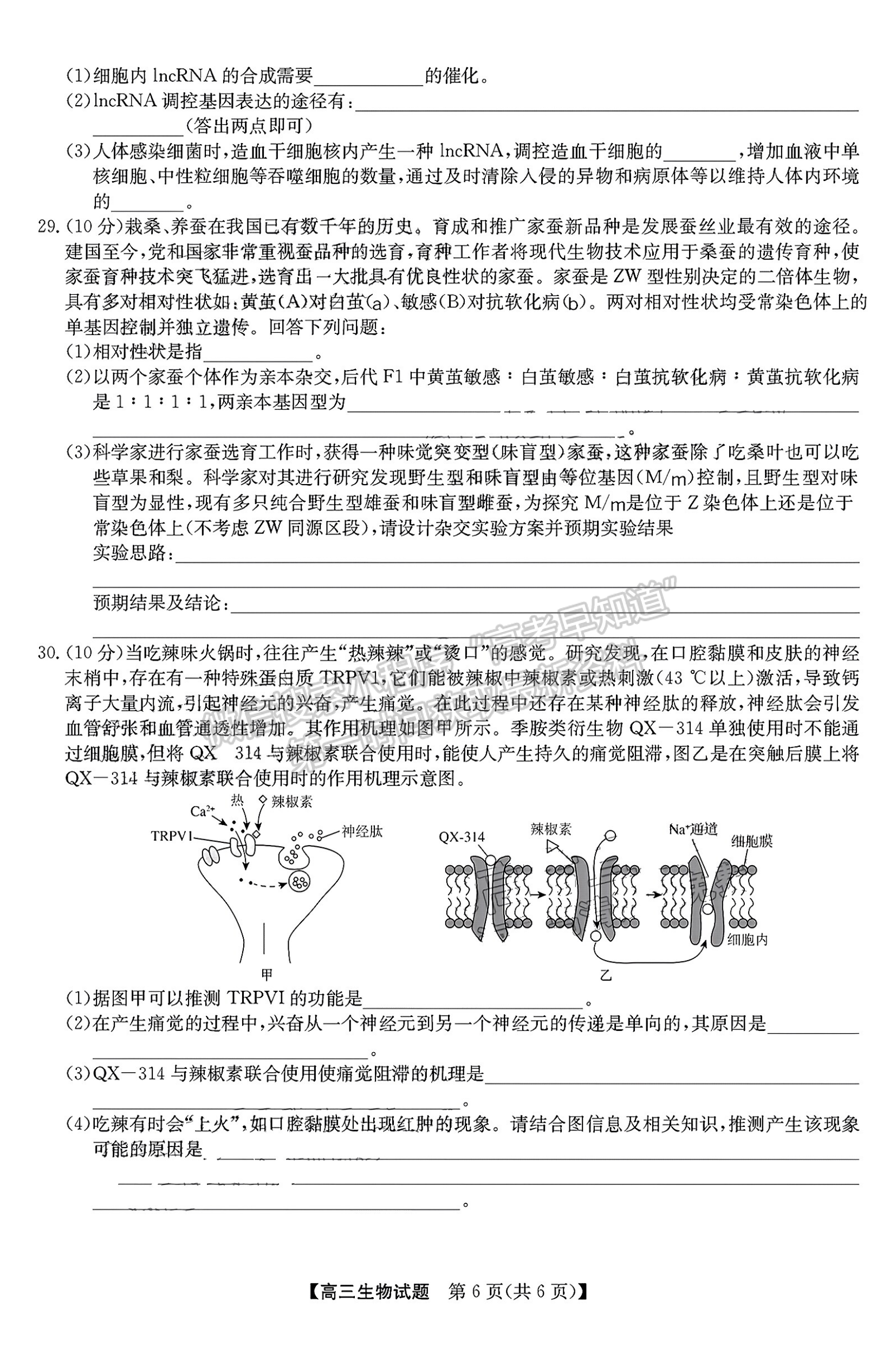 2023安徽皖北五校高三12月聯(lián)考生物試卷及答案