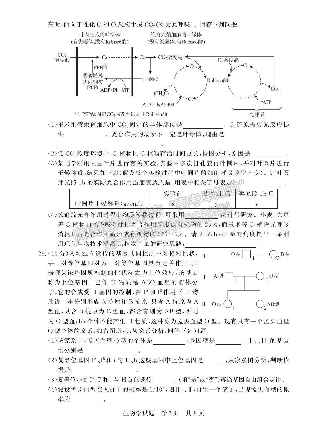 2023屆江蘇高三第一次學(xué)業(yè)質(zhì)量評(píng)價(jià)（T8聯(lián)考）生物試卷及參考答案