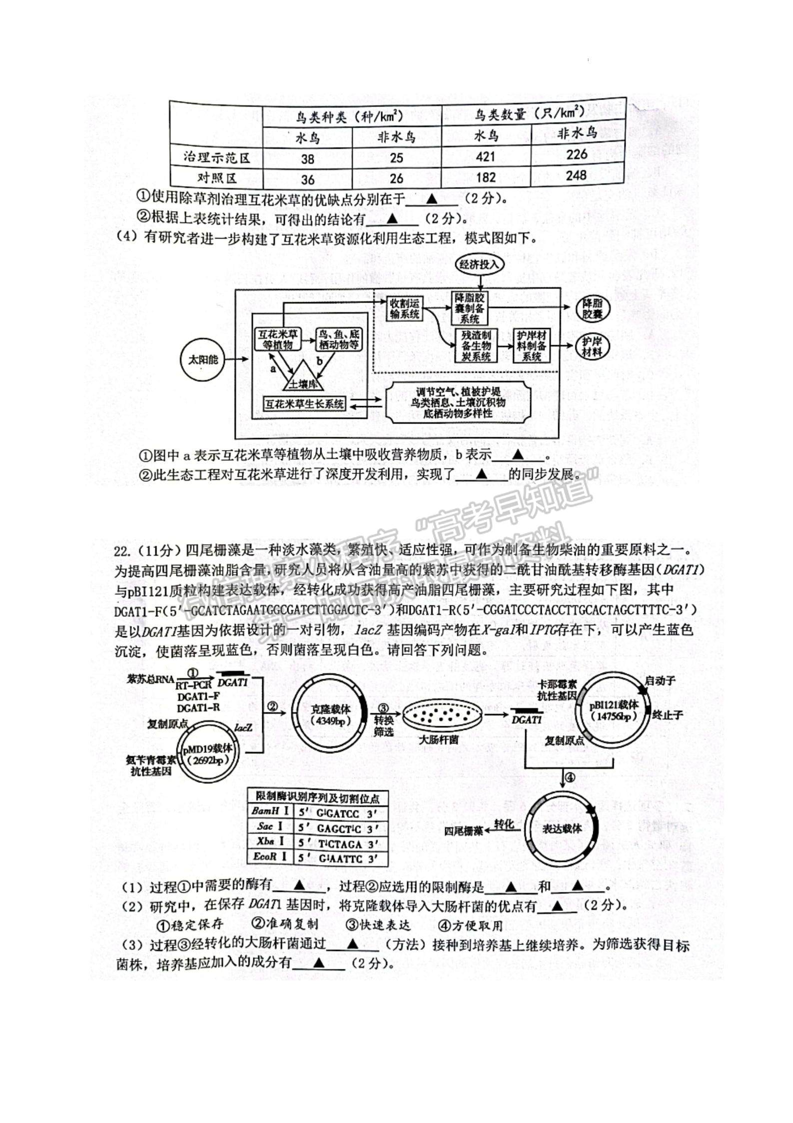 2023屆江蘇省新高考基地學(xué)校高三12月聯(lián)考生物試題及參考答案