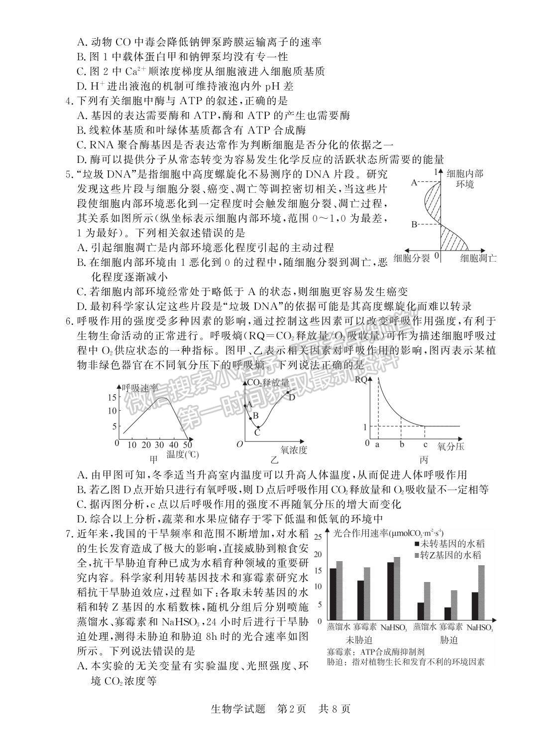 2023屆江蘇高三第一次學(xué)業(yè)質(zhì)量評(píng)價(jià)（T8聯(lián)考）生物試卷及參考答案