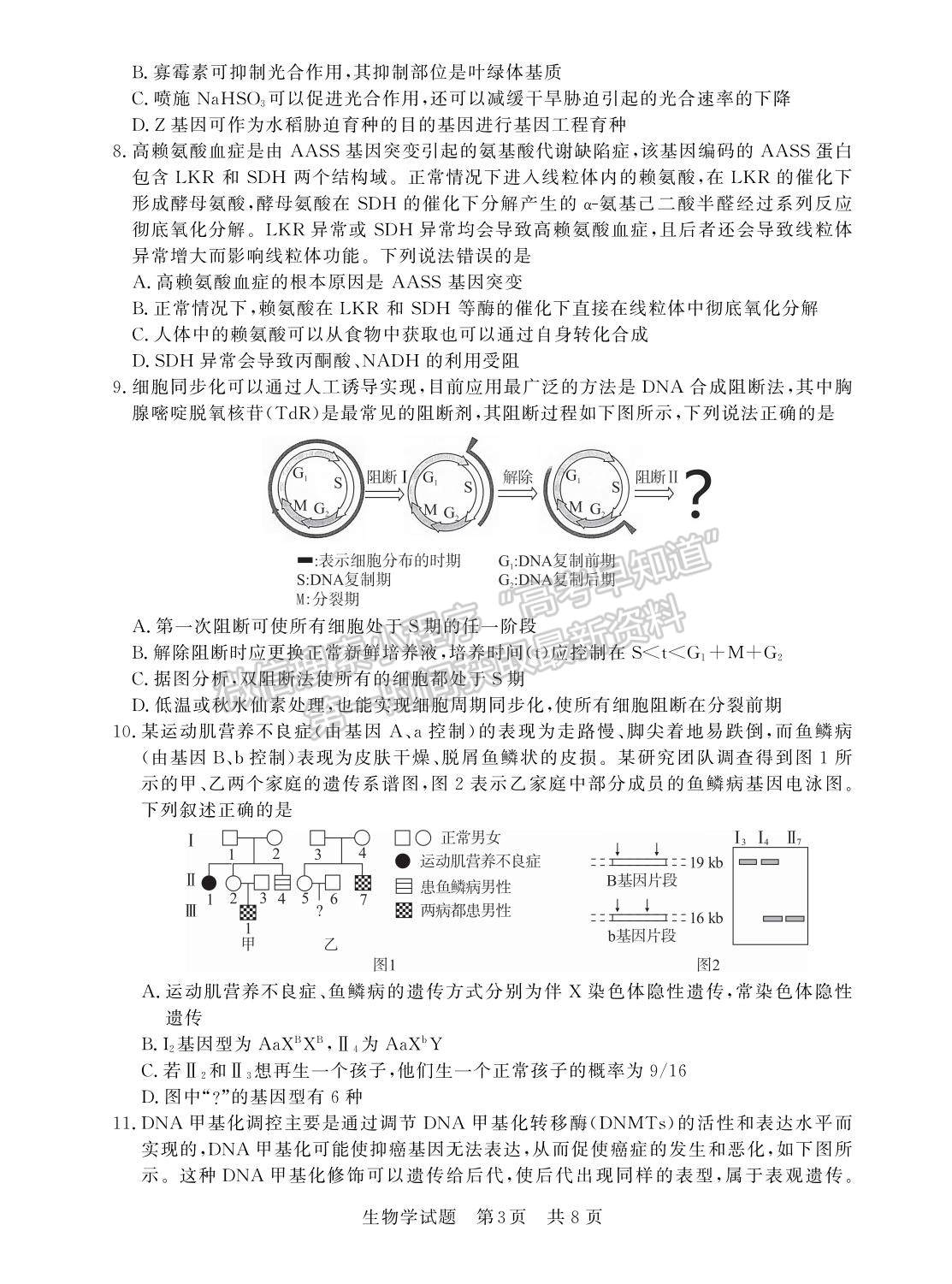 2023屆江蘇高三第一次學(xué)業(yè)質(zhì)量評(píng)價(jià)（T8聯(lián)考）生物試卷及參考答案