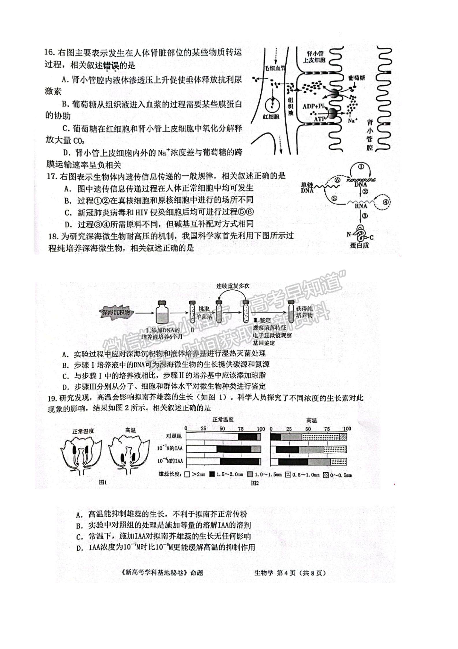 2023屆江蘇省新高考基地學校高三12月聯(lián)考生物試題及參考答案