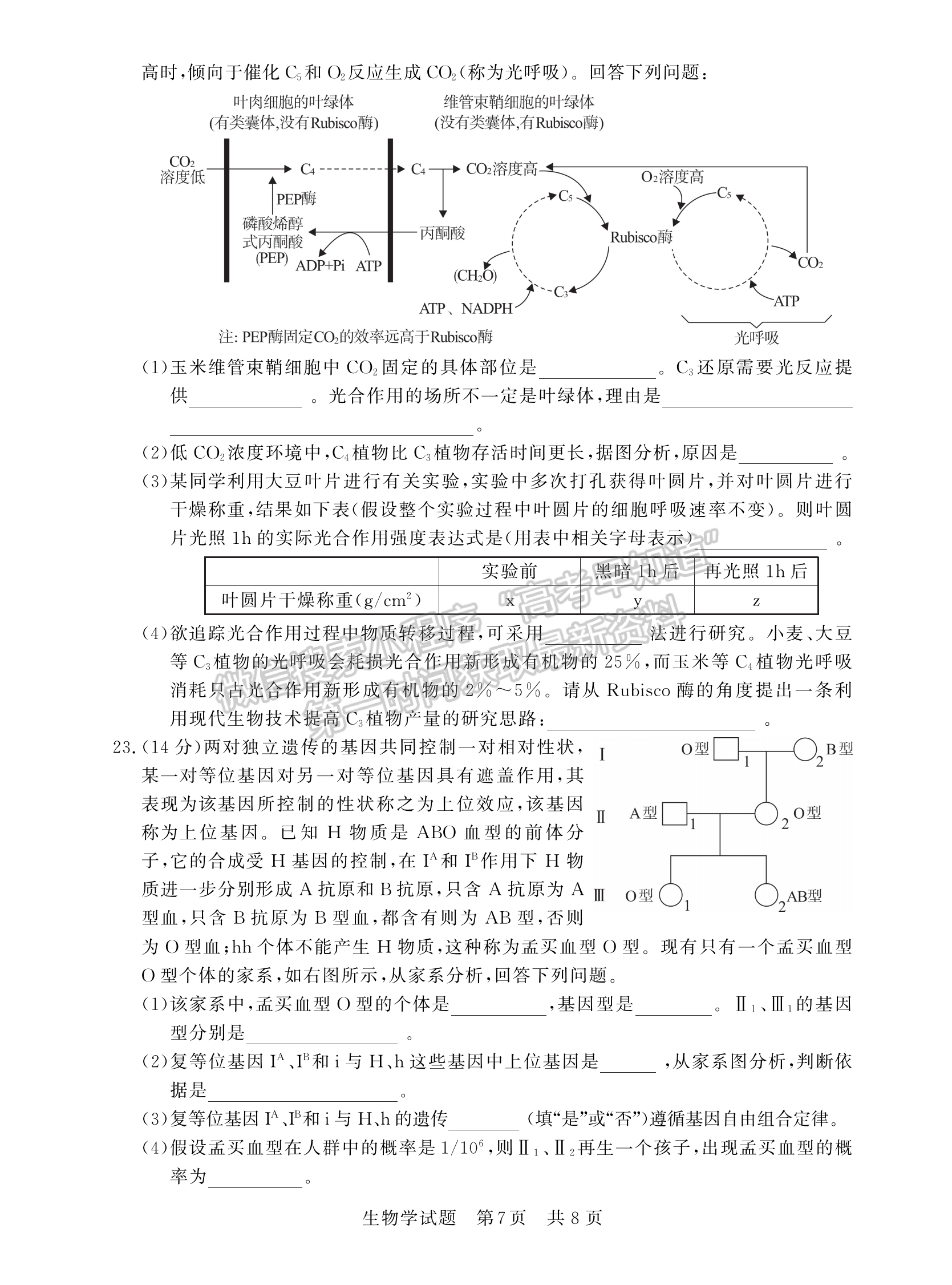 2023高三第一次学业质量评价（T8联考）生物试题及参考答案