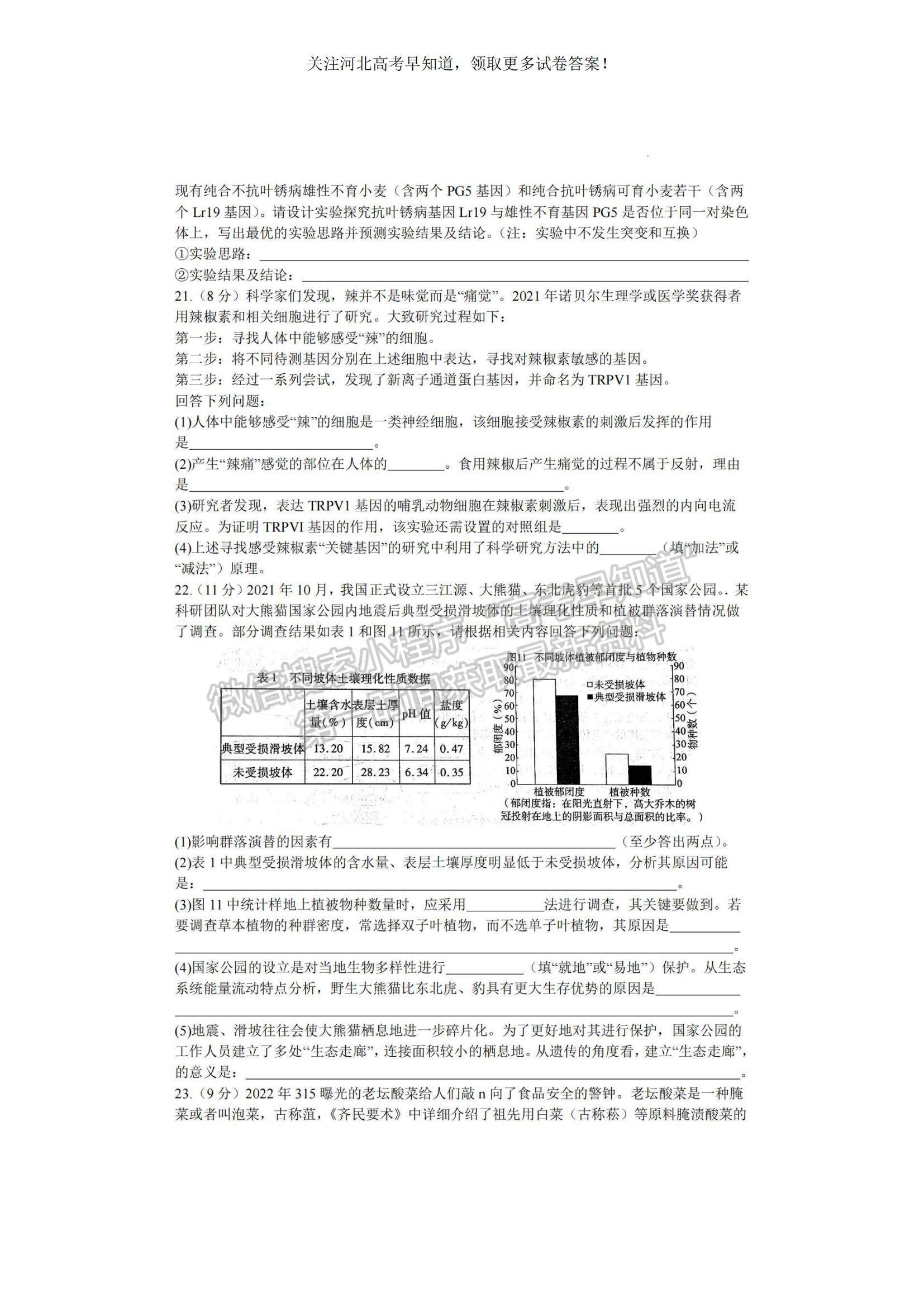 2023河北省邢臺市名校聯(lián)盟高三上學期開學考試生物試題及參考答案