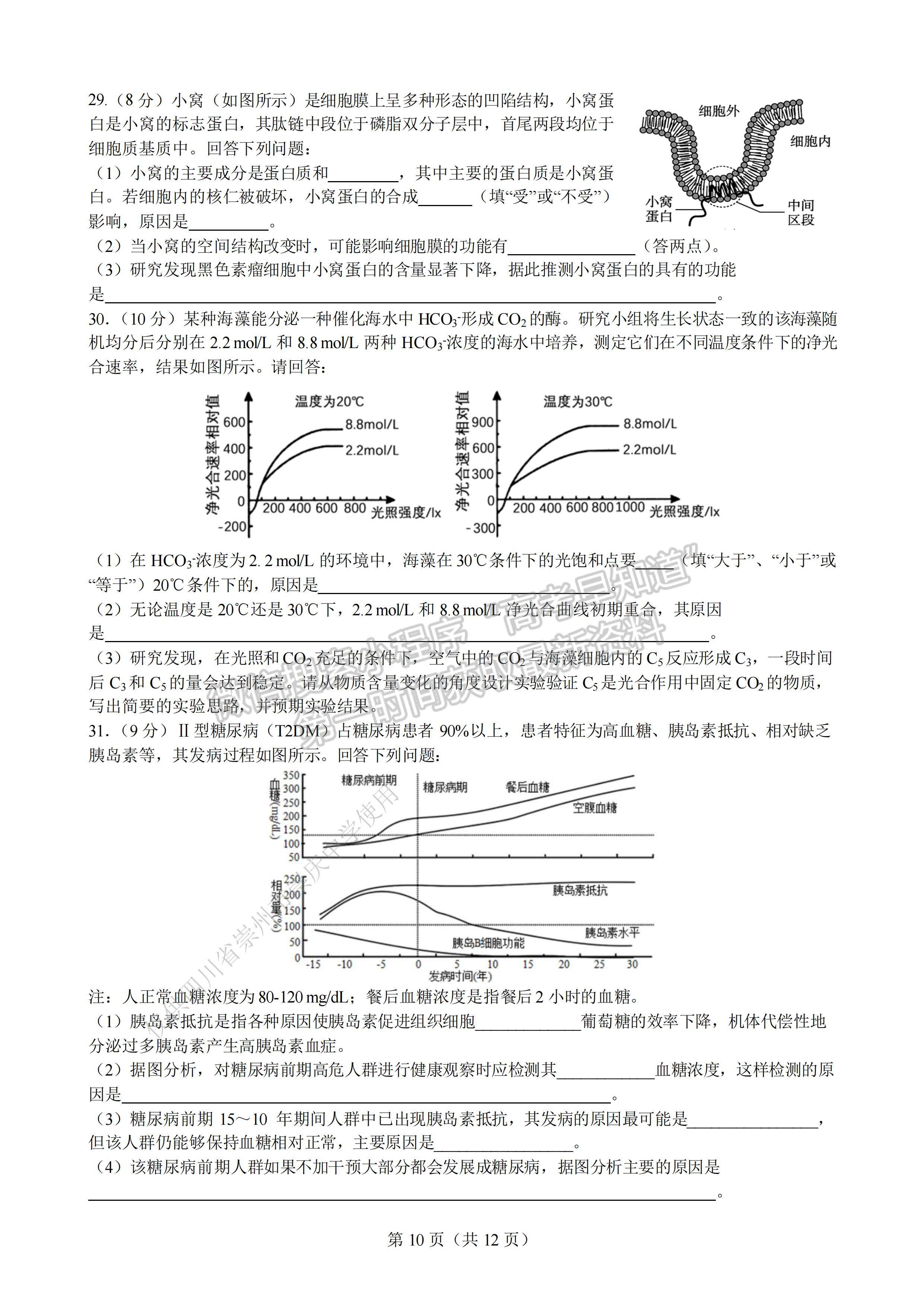 2023成都七中高2023屆高三一診模擬考試?yán)砜凭C合試題