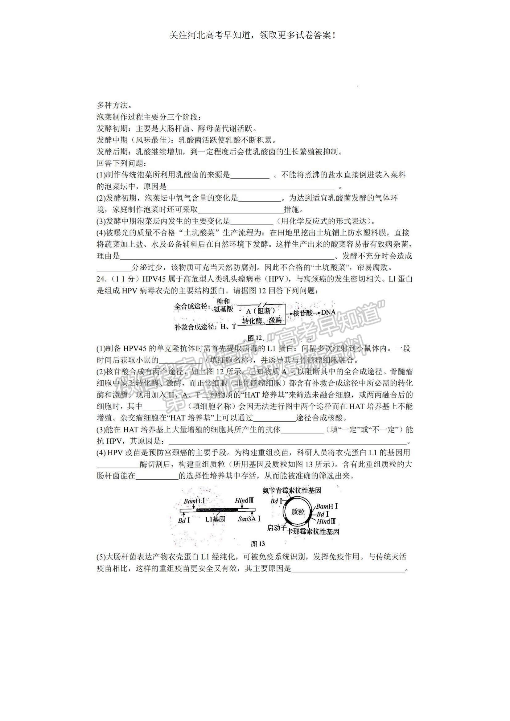 2023河北省邢臺市名校聯(lián)盟高三上學期開學考試生物試題及參考答案