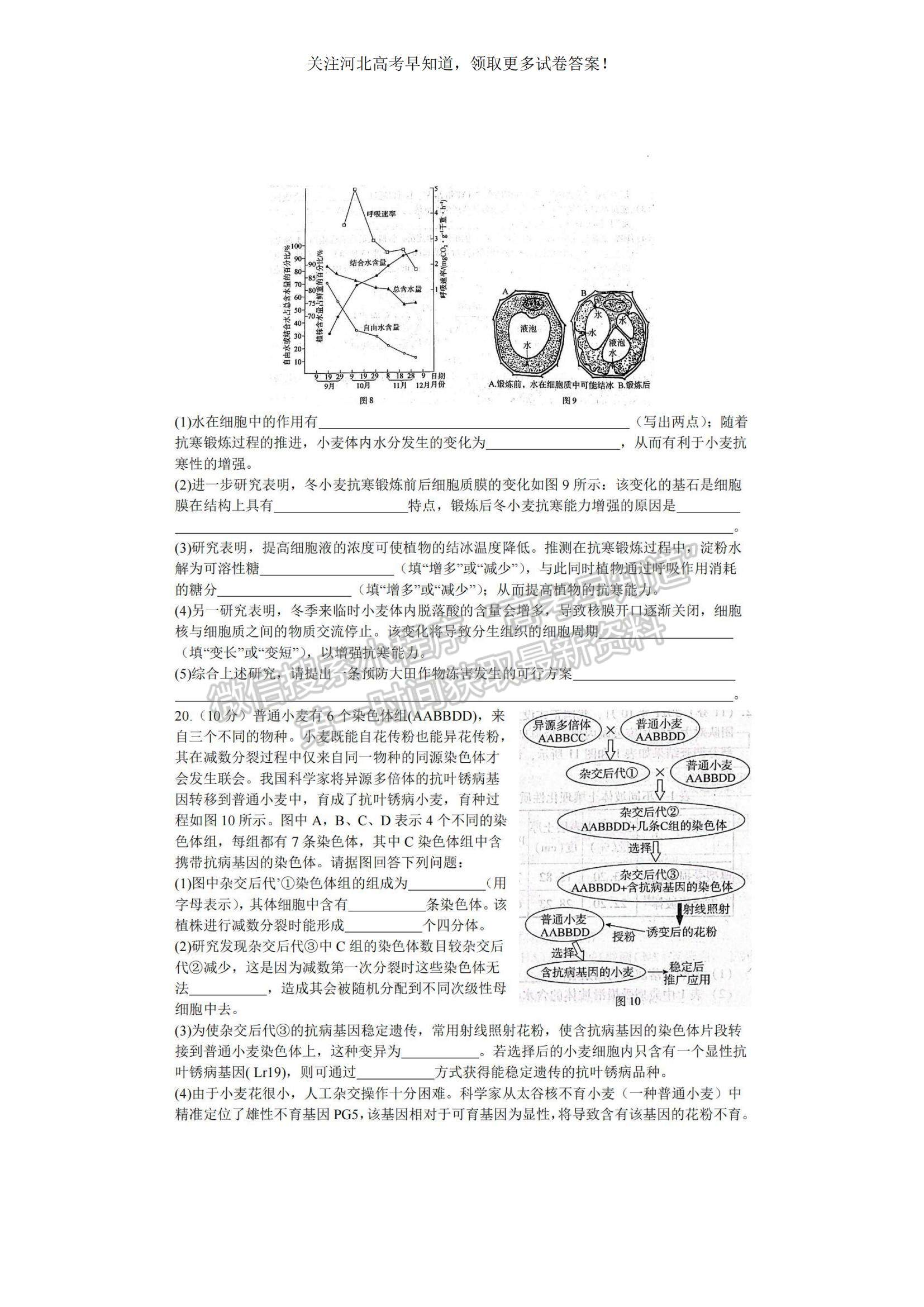 2023河北省邢臺(tái)市名校聯(lián)盟高三上學(xué)期開學(xué)考試生物試題及參考答案