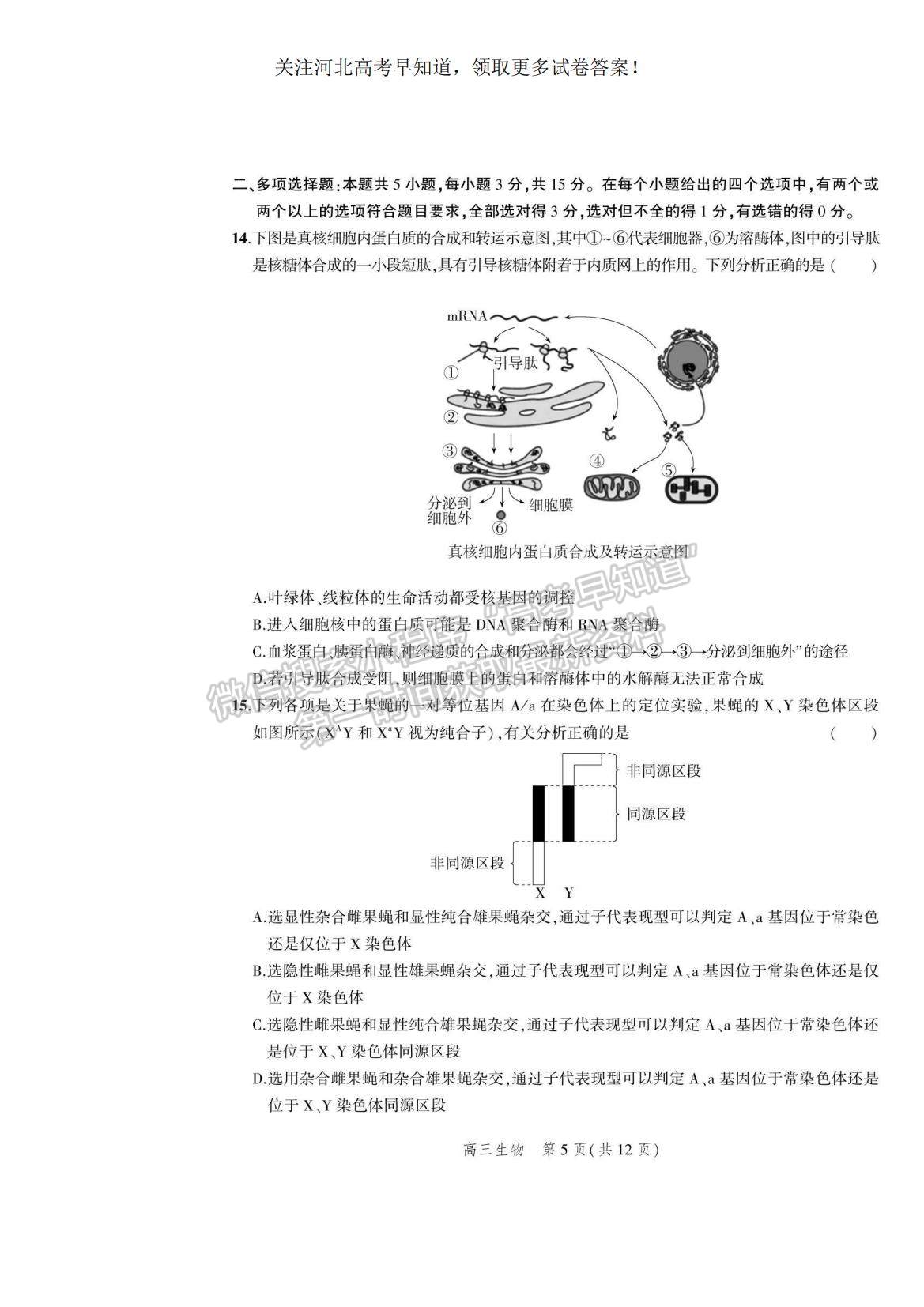 2023河北省示范性高中高三上學期9月份考試生物試題及參考答案