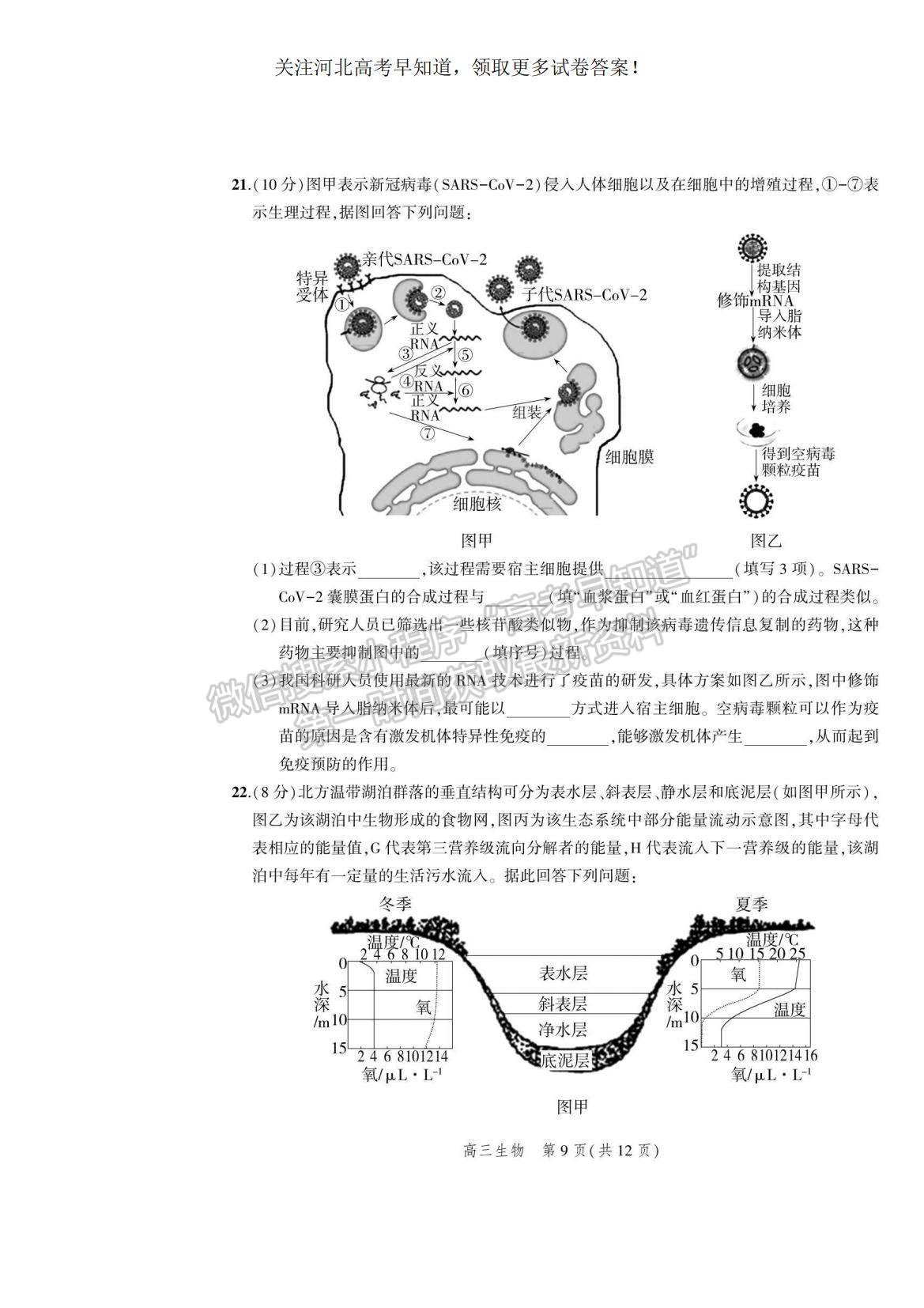 2023河北省示范性高中高三上學期9月份考試生物試題及參考答案