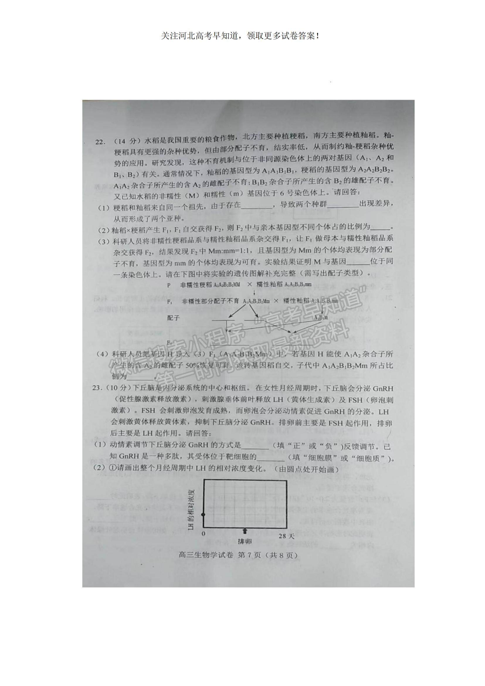 2023河北省唐山市高三上學期摸底考試生物試題及參考答案