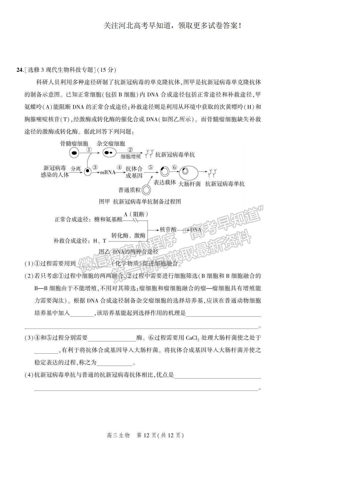 2023河北省示范性高中高三上學(xué)期9月份考試生物試題及參考答案