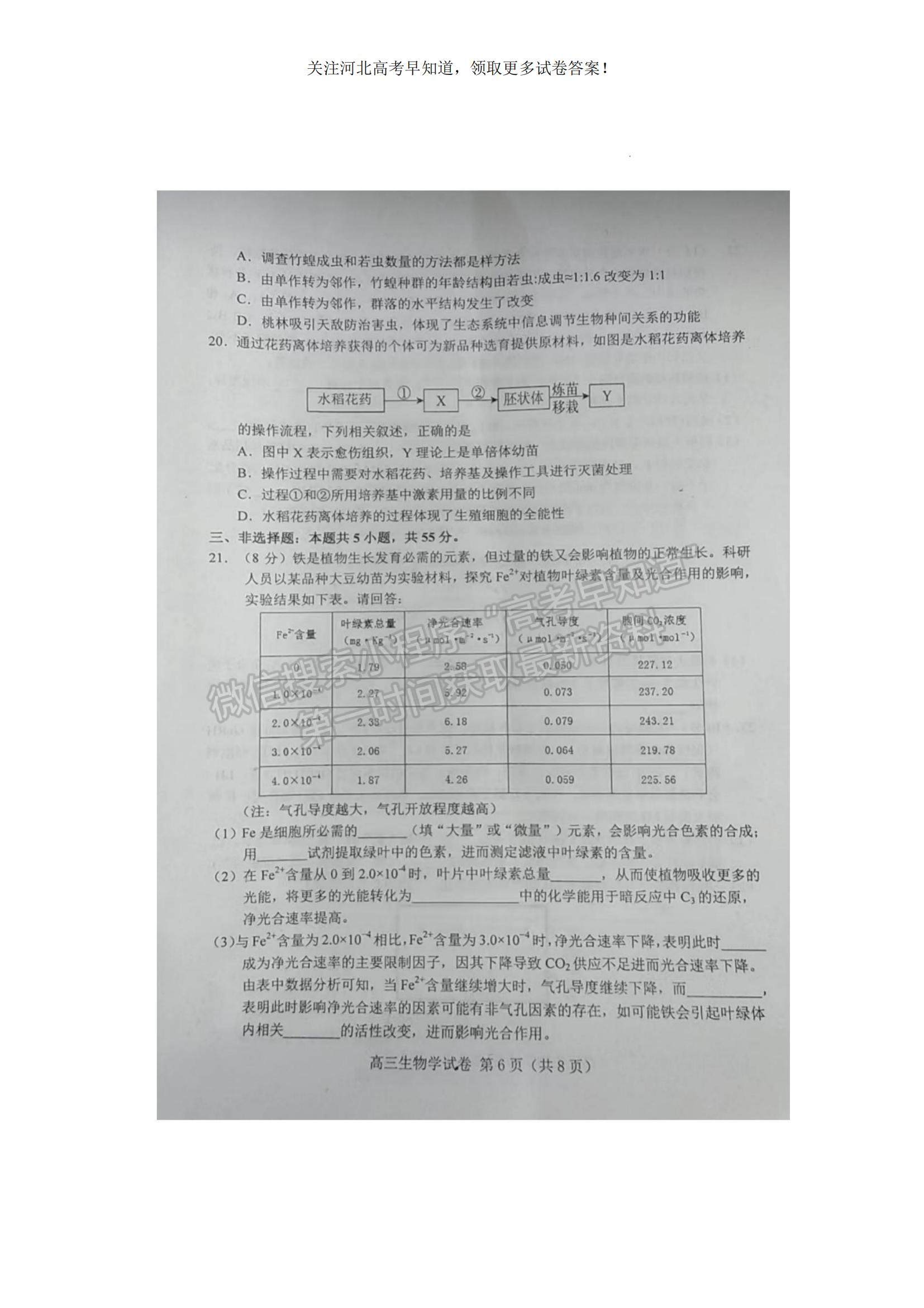 2023河北省唐山市高三上學(xué)期摸底考試生物試題及參考答案