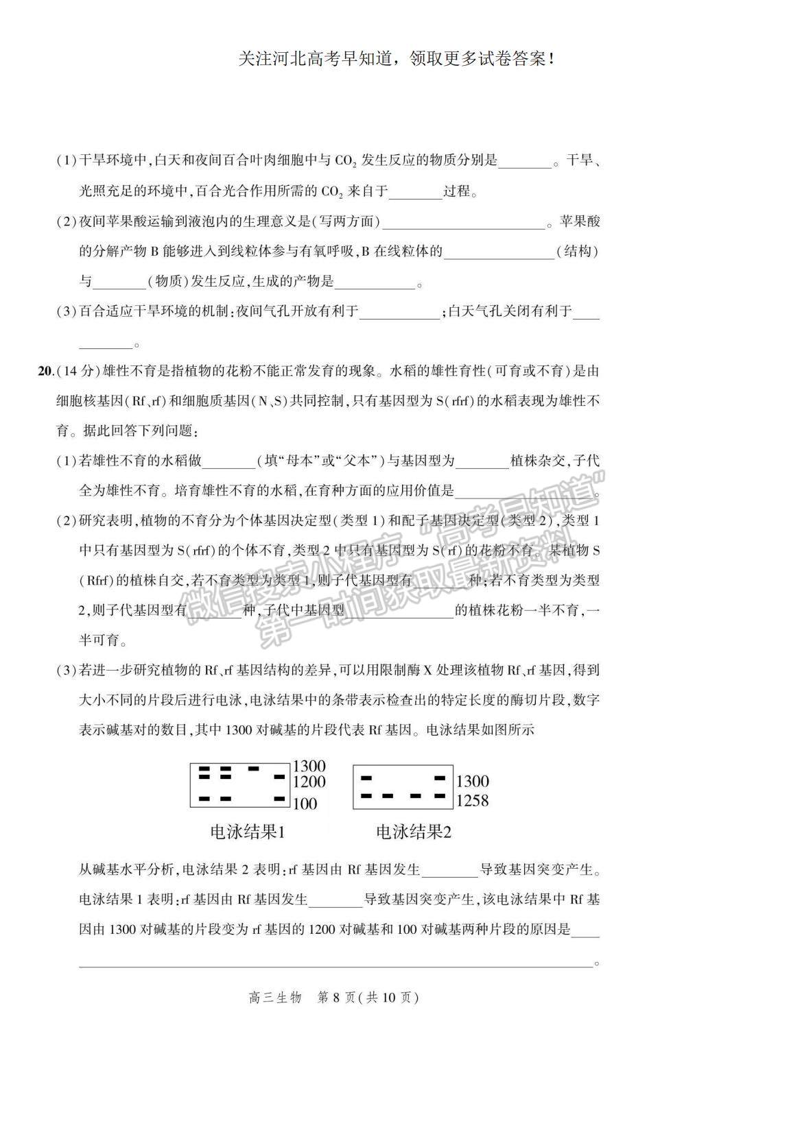 2023河北省示范性高中高三上學期9月份考試生物試題及參考答案