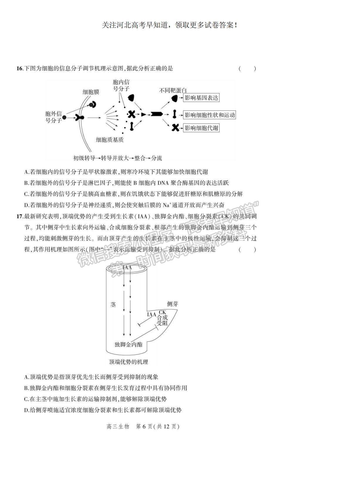 2023河北省示范性高中高三上學期9月份考試生物試題及參考答案