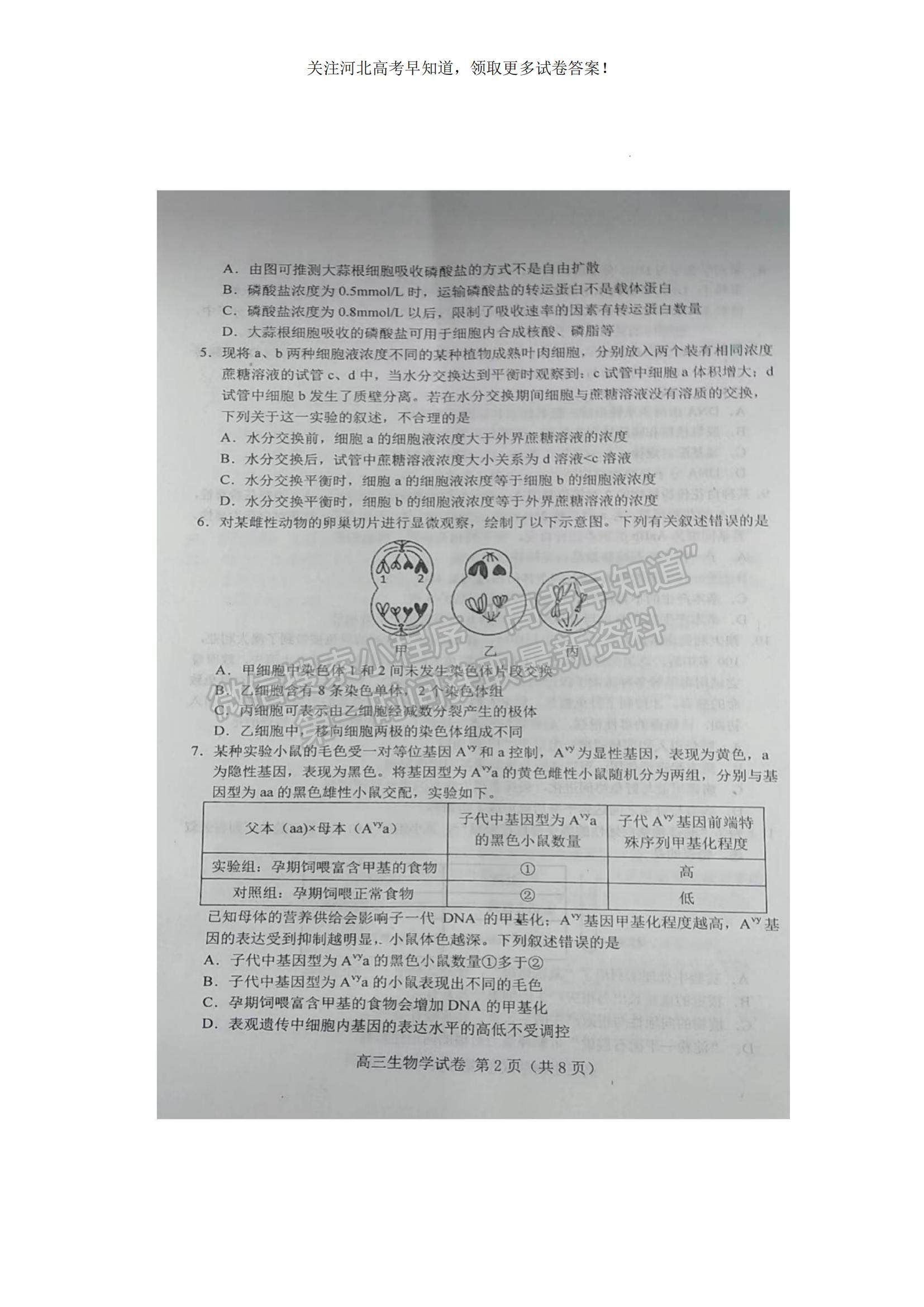 2023河北省唐山市高三上學期摸底考試生物試題及參考答案