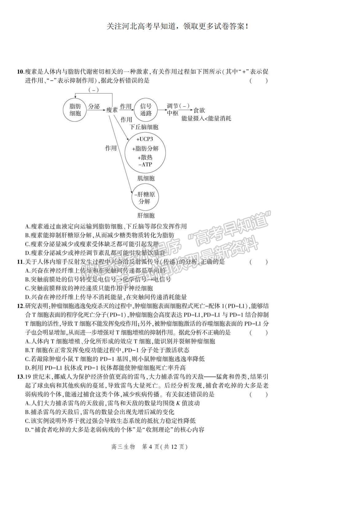 2023河北省示范性高中高三上學期9月份考試生物試題及參考答案