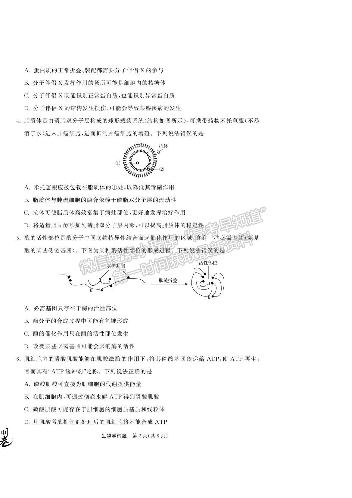 2023衡中同卷高三第一次學(xué)業(yè)質(zhì)量聯(lián)合檢測(cè)（全國(guó)卷）生物試題及答案