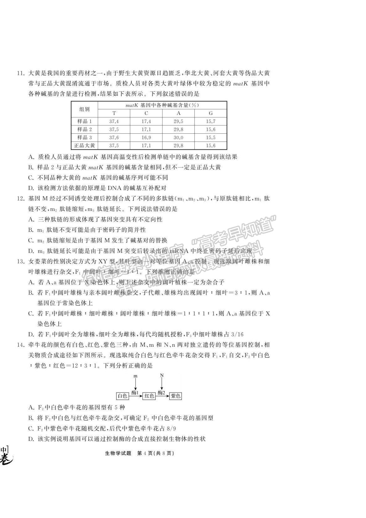 2023衡中同卷高三第一次學業(yè)質(zhì)量聯(lián)合檢測（全國卷）生物試題及答案