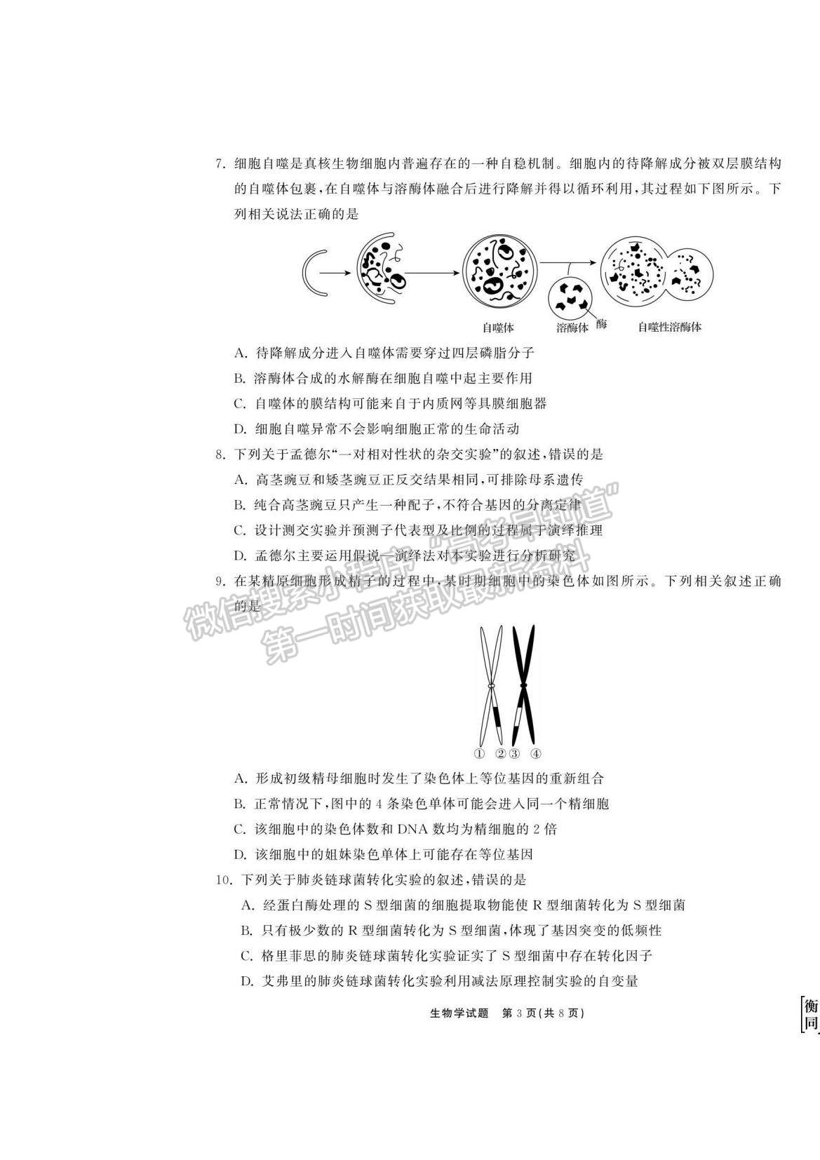 2023衡中同卷高三第一次學業(yè)質(zhì)量聯(lián)合檢測（全國卷）生物試題及答案