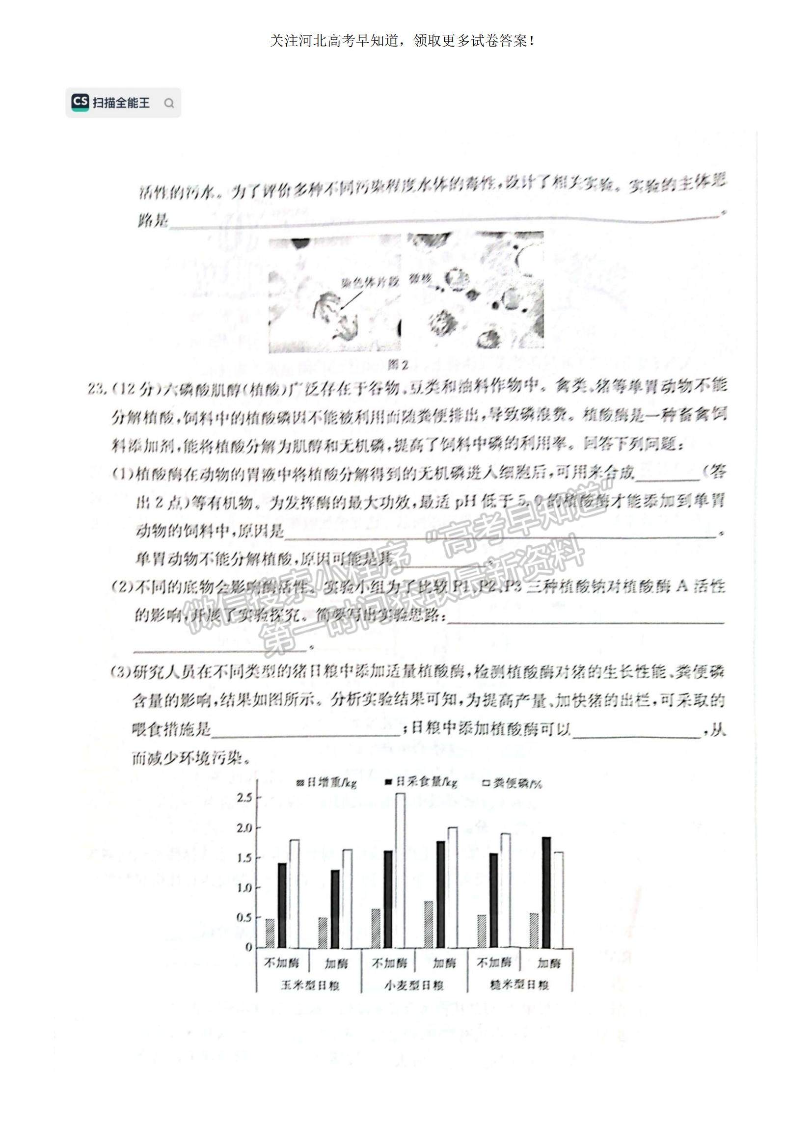 2023河北省保定市部分學校高三上學期開學考試生物試題及參考答案